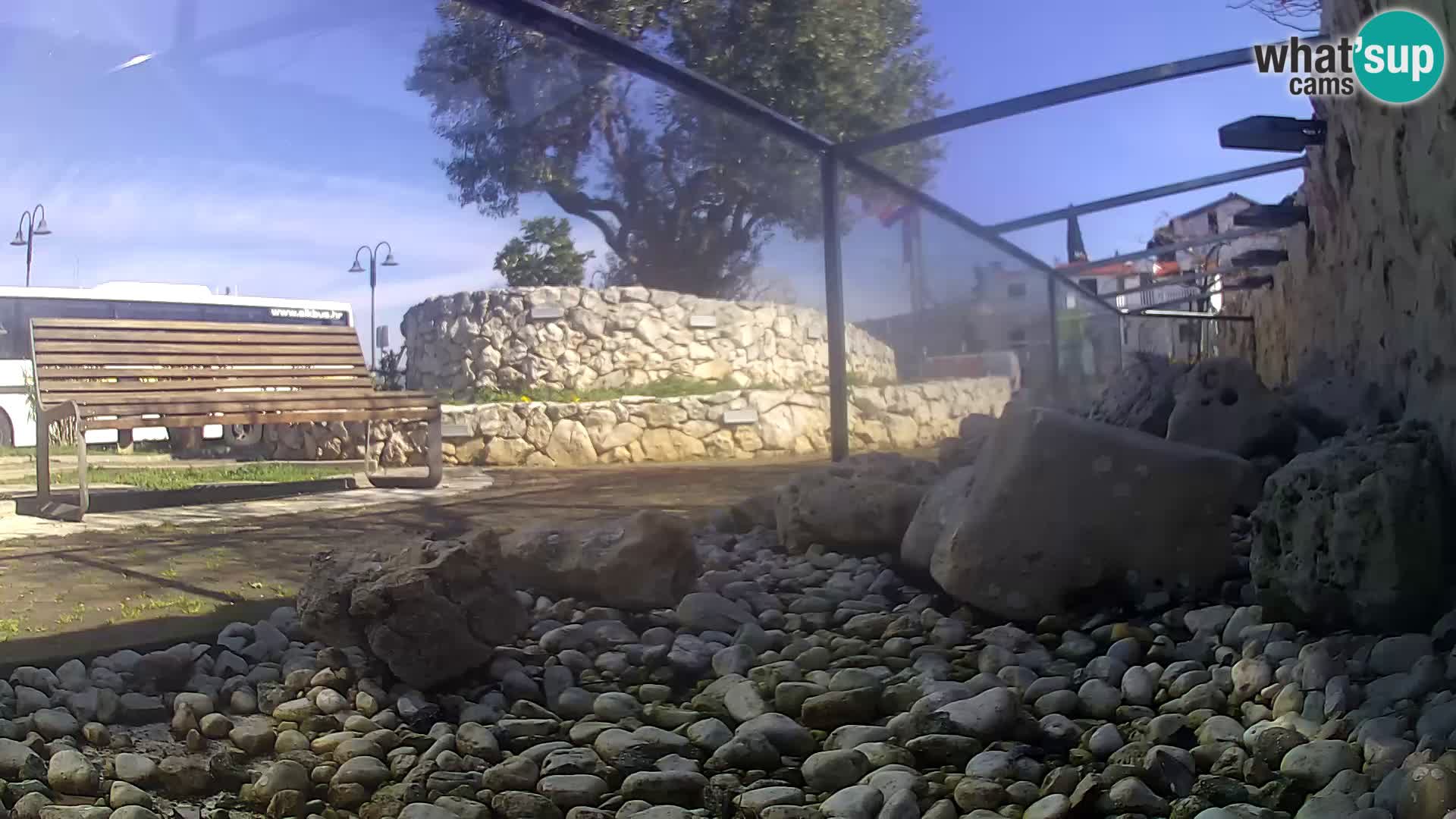 Marine Aquarium im Freien Rogoznica webcam Kroatien