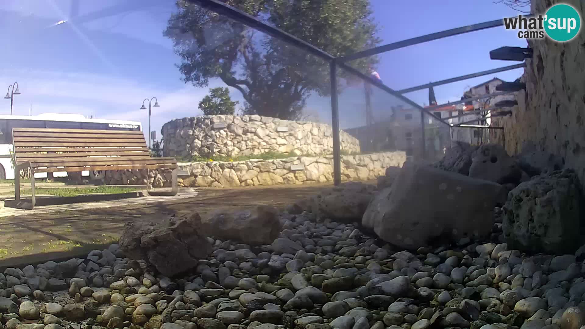 Marine Aquarium im Freien Rogoznica webcam Kroatien