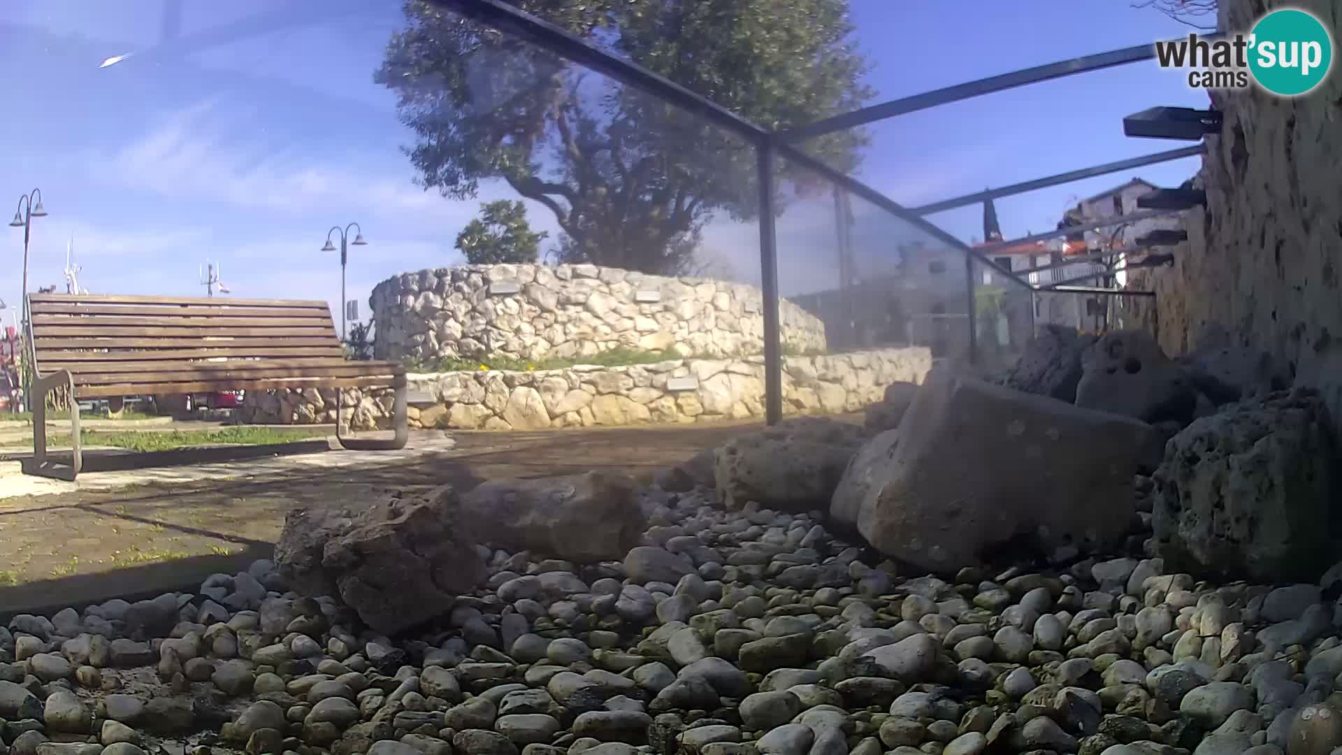 Marine Aquarium im Freien Rogoznica webcam Kroatien
