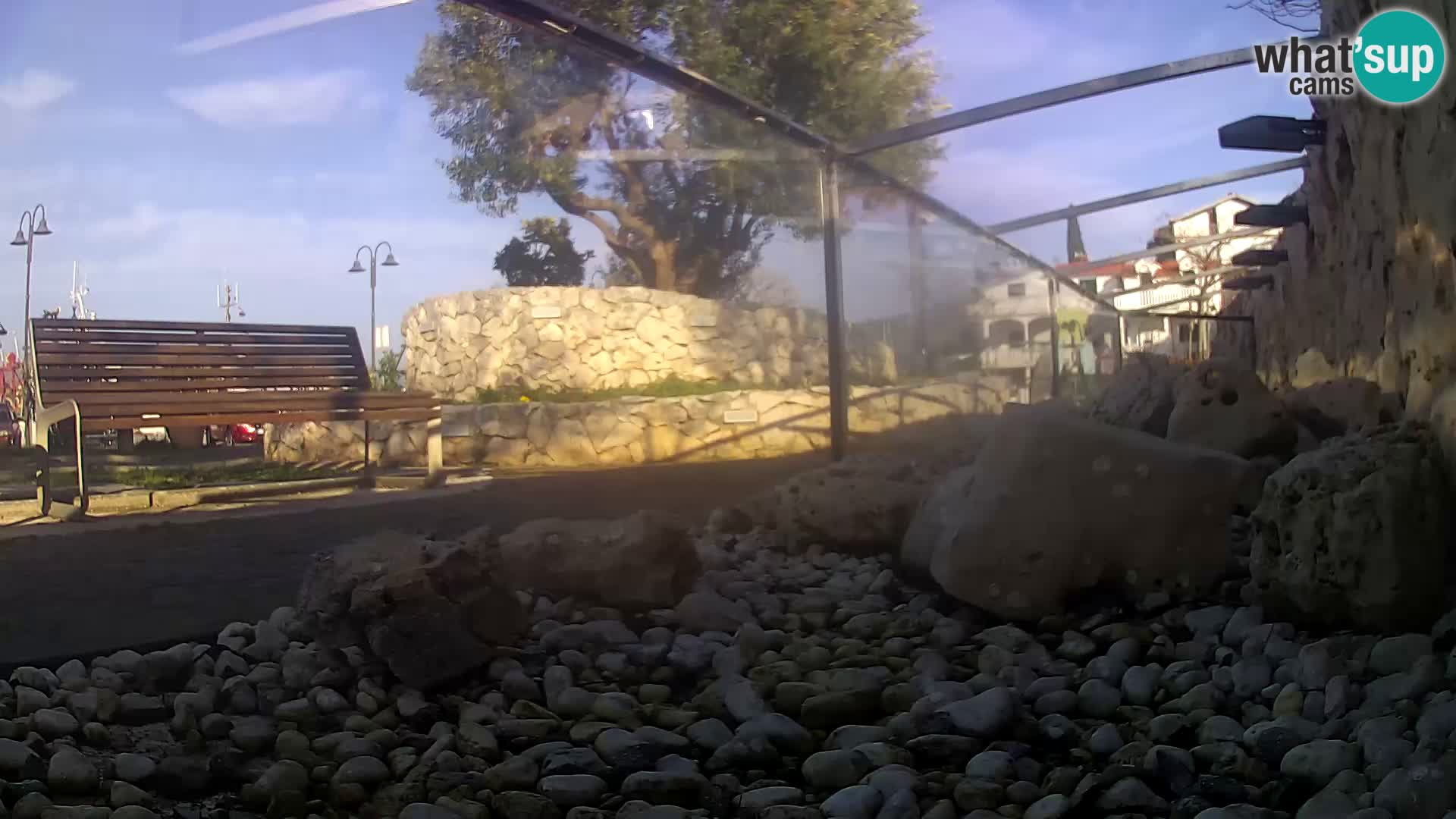 Acuario marino al aire libre Rogoznica webcam Croacia