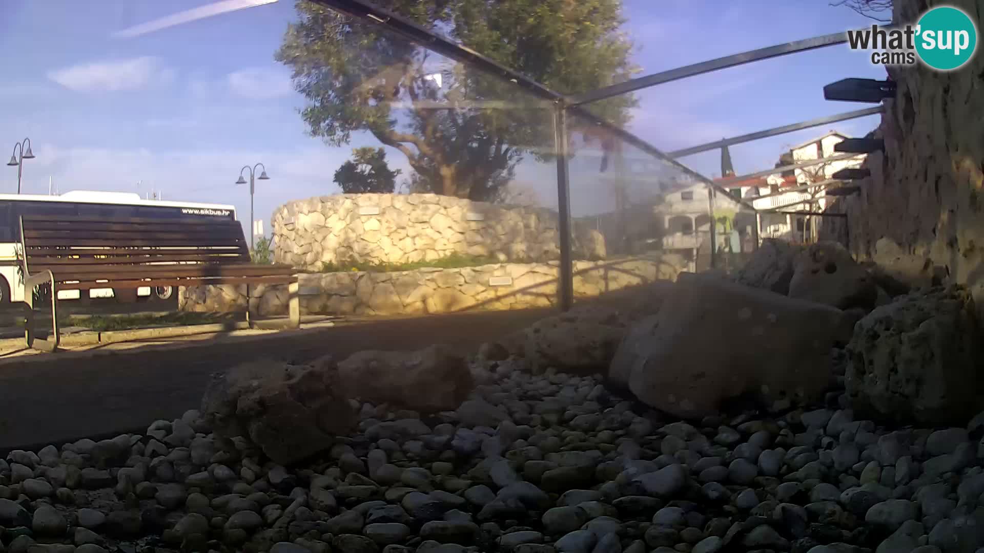 Outdoor Marine Aquarium Rogoznica webcam Croatia