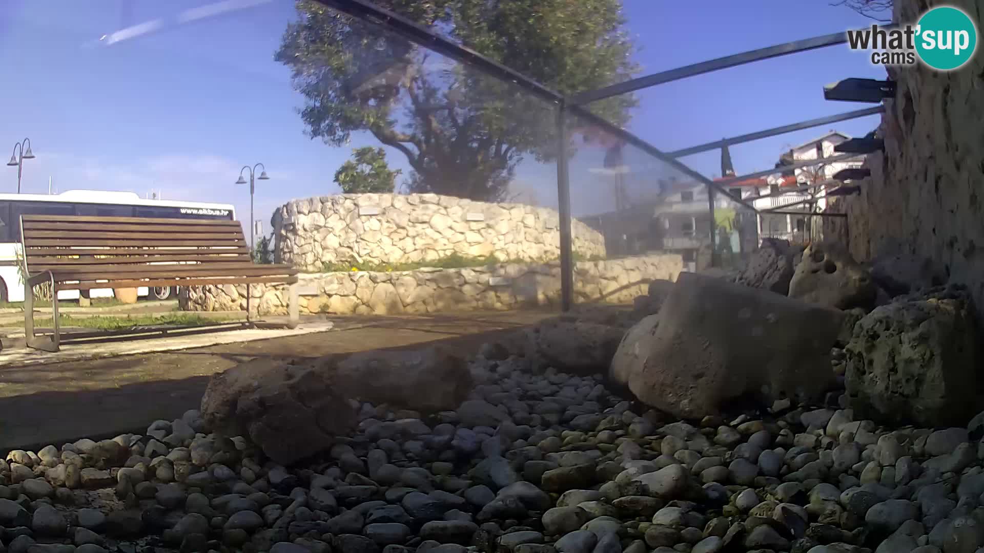 Acuario marino al aire libre Rogoznica webcam Croacia