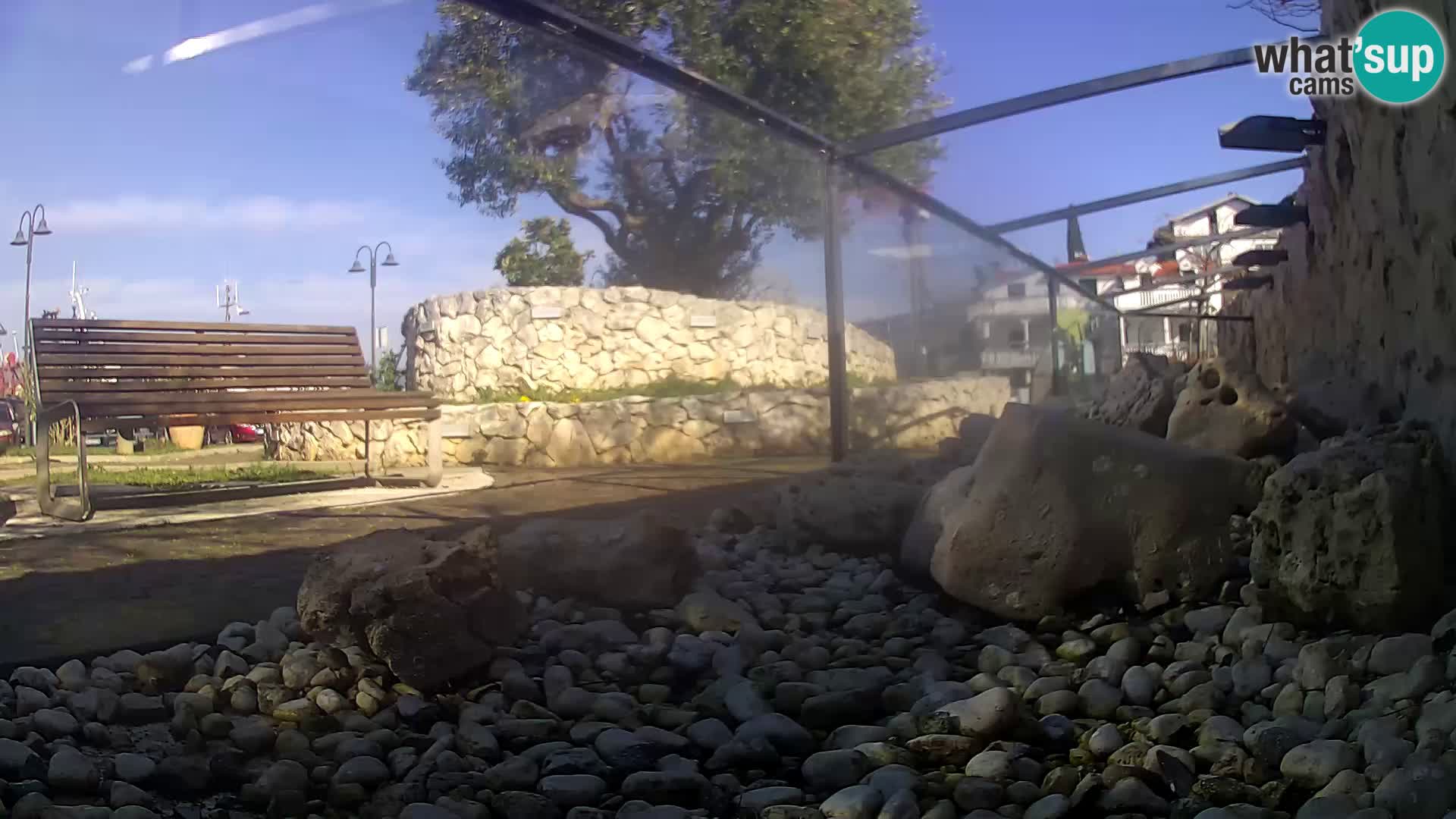 Aquario marino esterno –  Rogoznica livecam Croazia