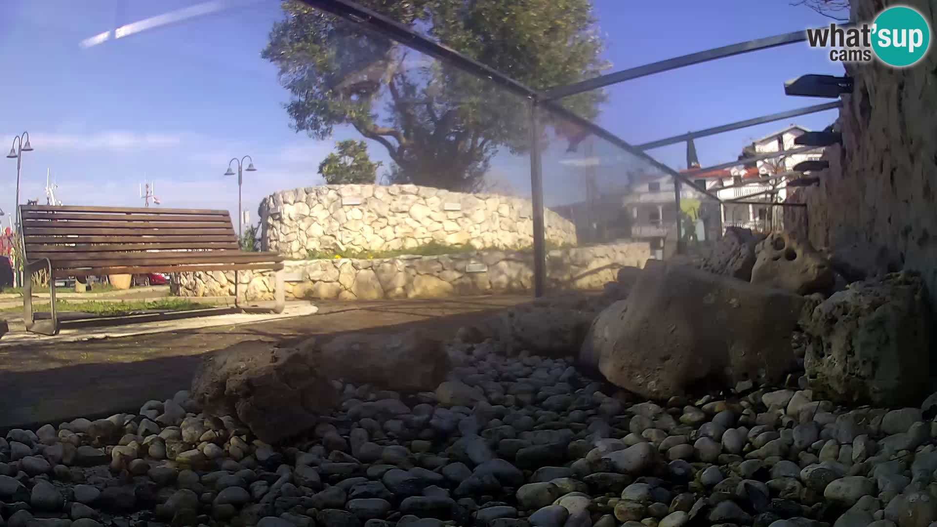 Marine Aquarium im Freien Rogoznica webcam Kroatien