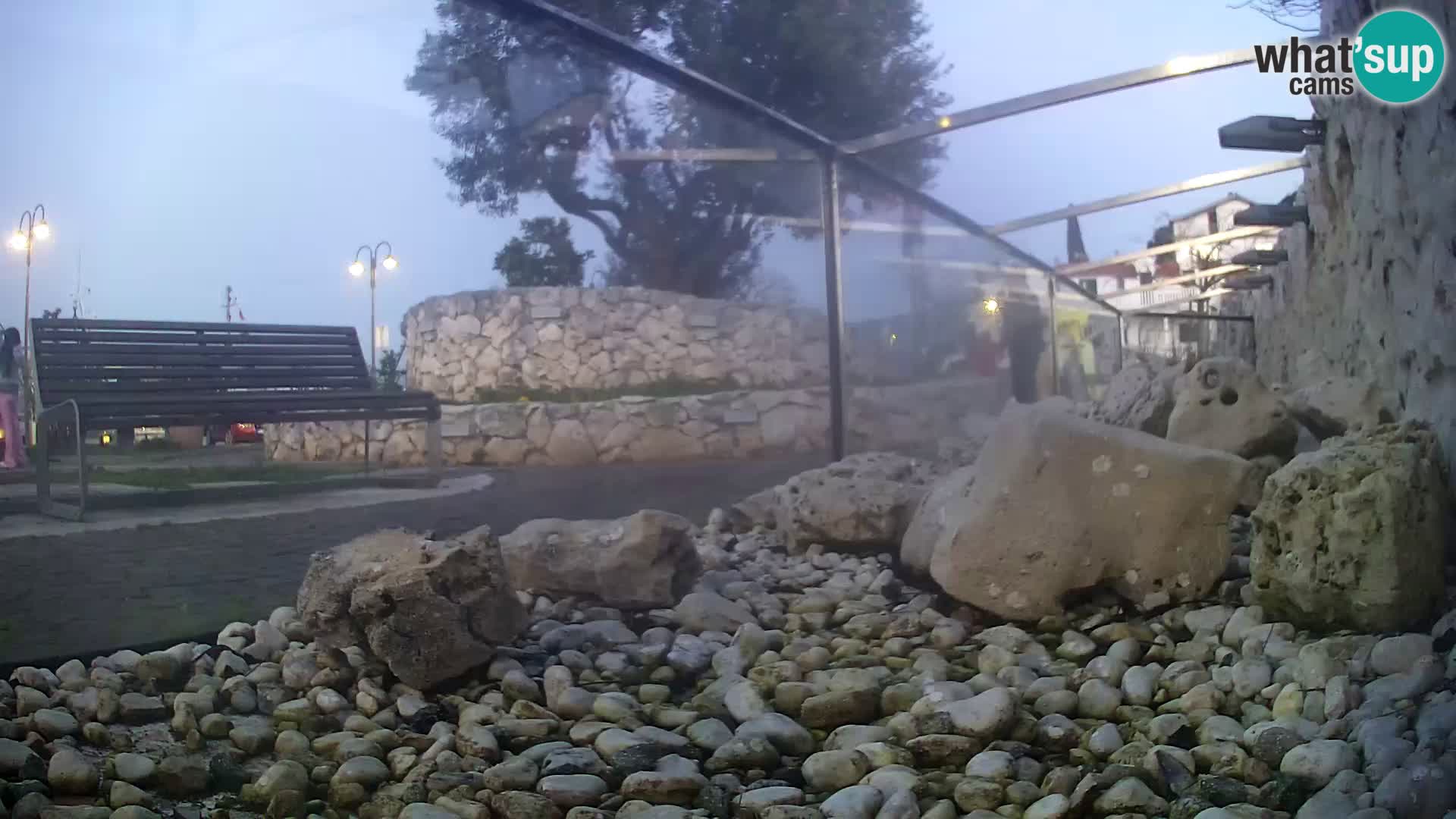 Marine Aquarium im Freien Rogoznica webcam Kroatien