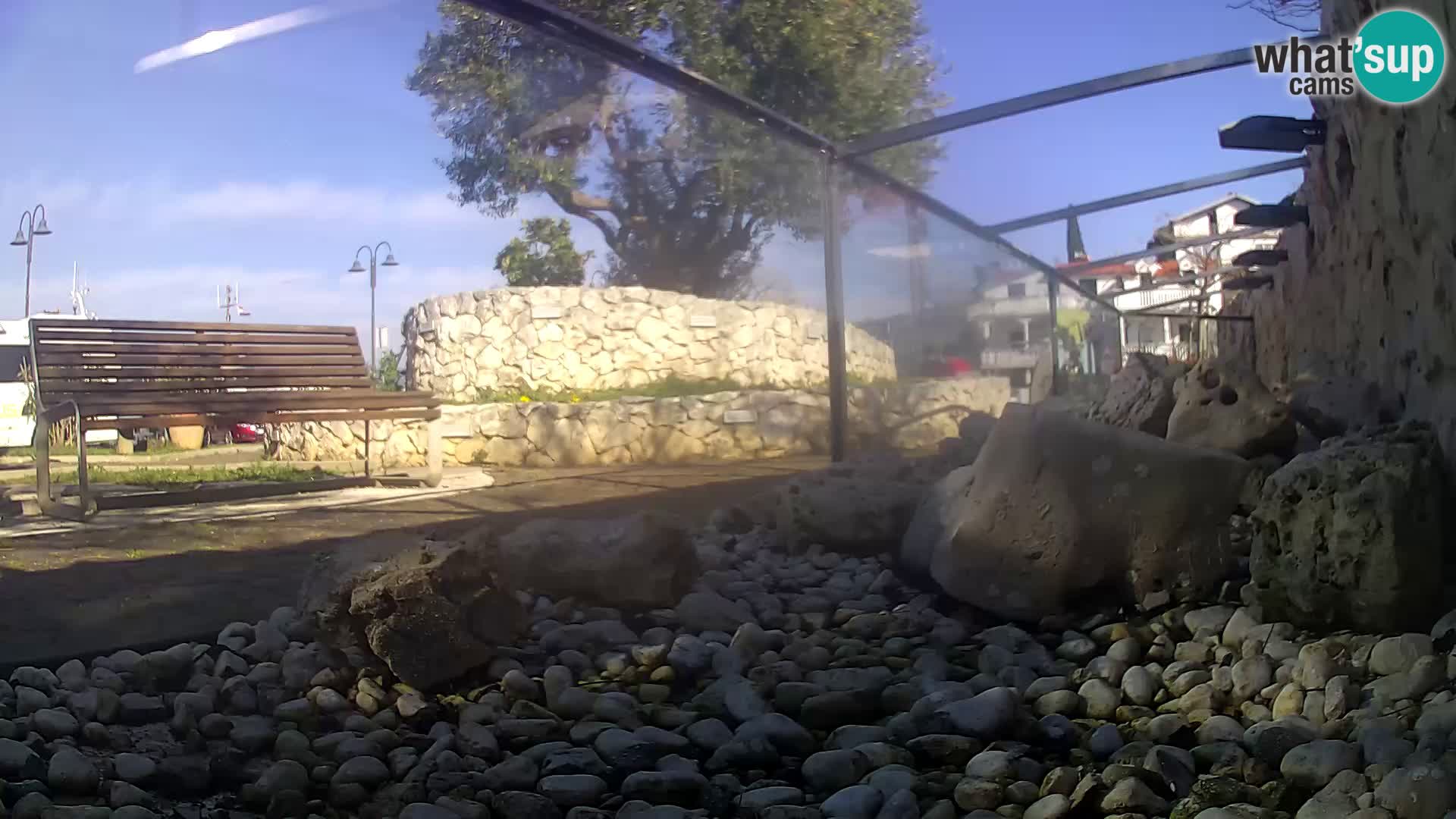 Webcam de l’aquarium marin extérieur de Rogoznica Croatie