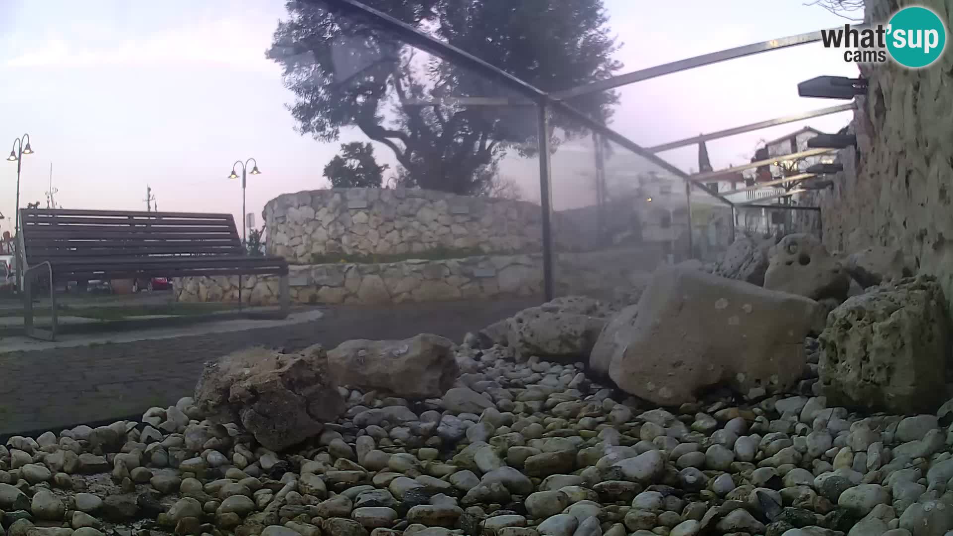 Acuario marino al aire libre Rogoznica webcam Croacia