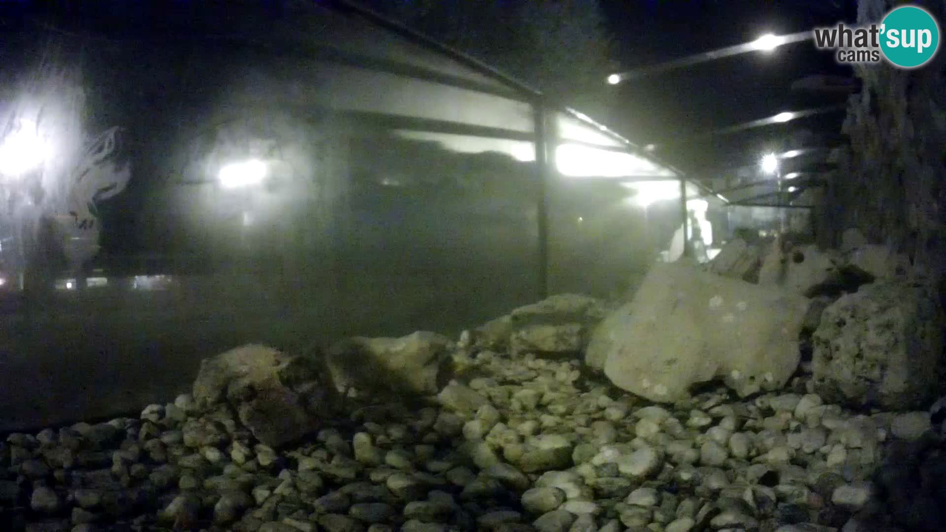 Marine Aquarium im Freien Rogoznica webcam Kroatien