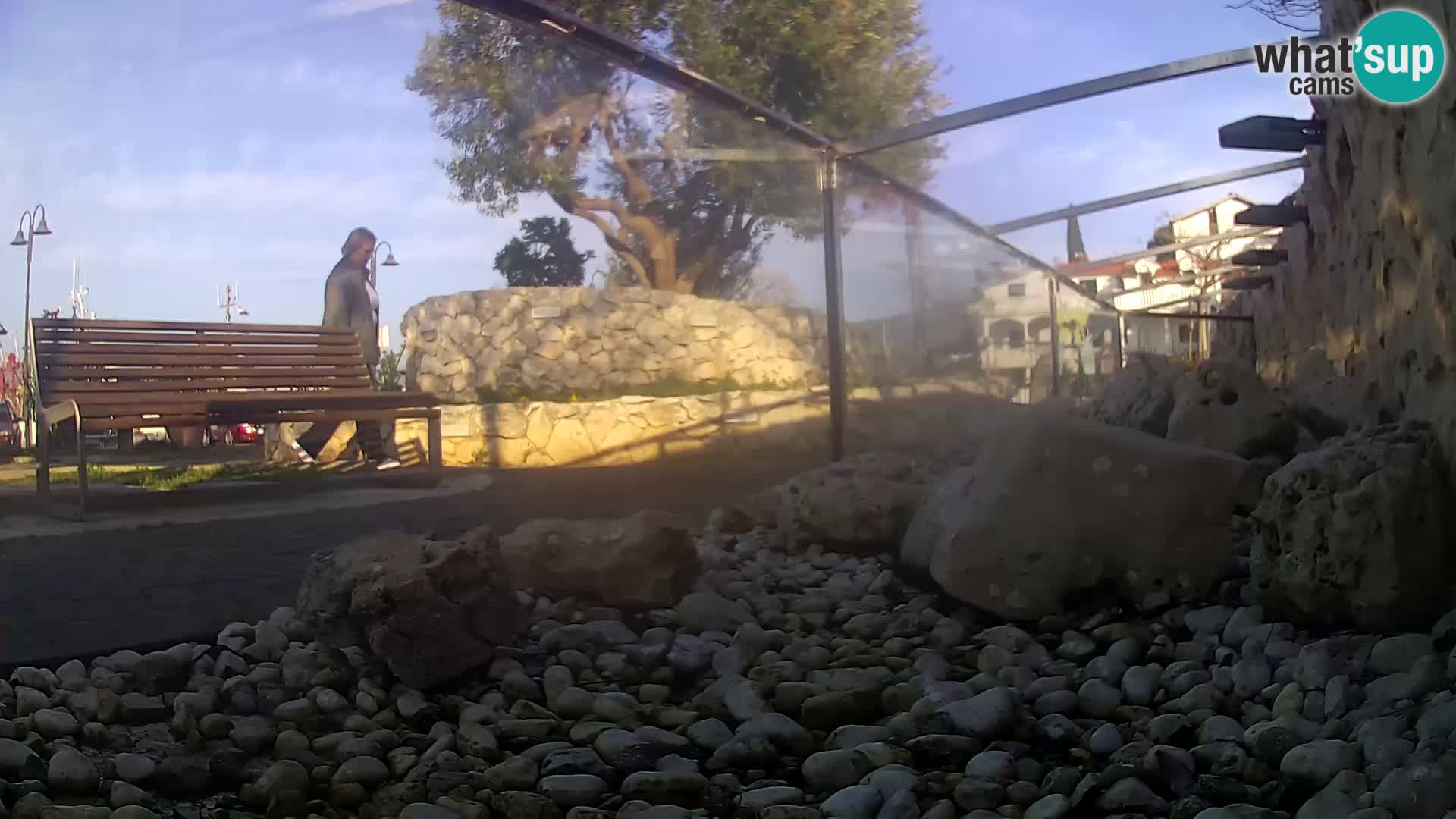 Webcam de l’aquarium marin extérieur de Rogoznica Croatie