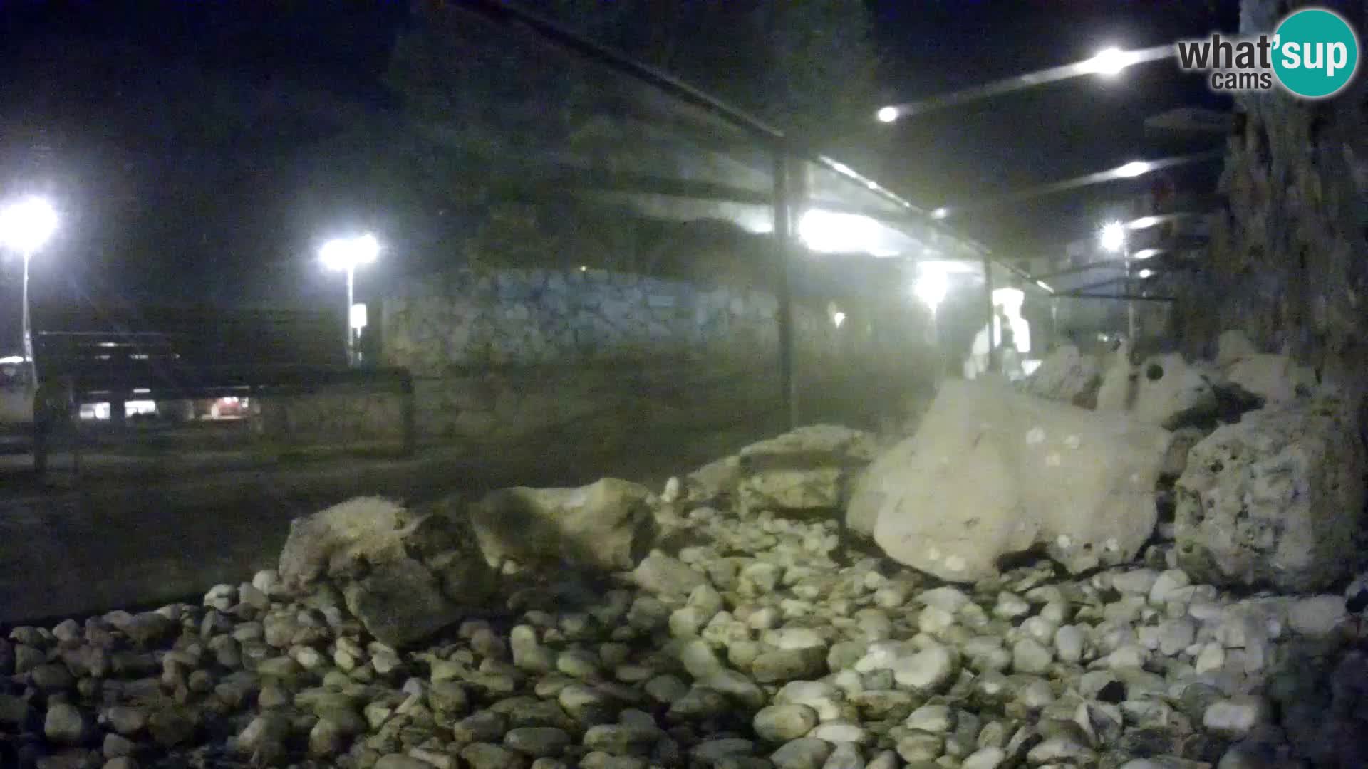 Webcam de l’aquarium marin extérieur de Rogoznica Croatie