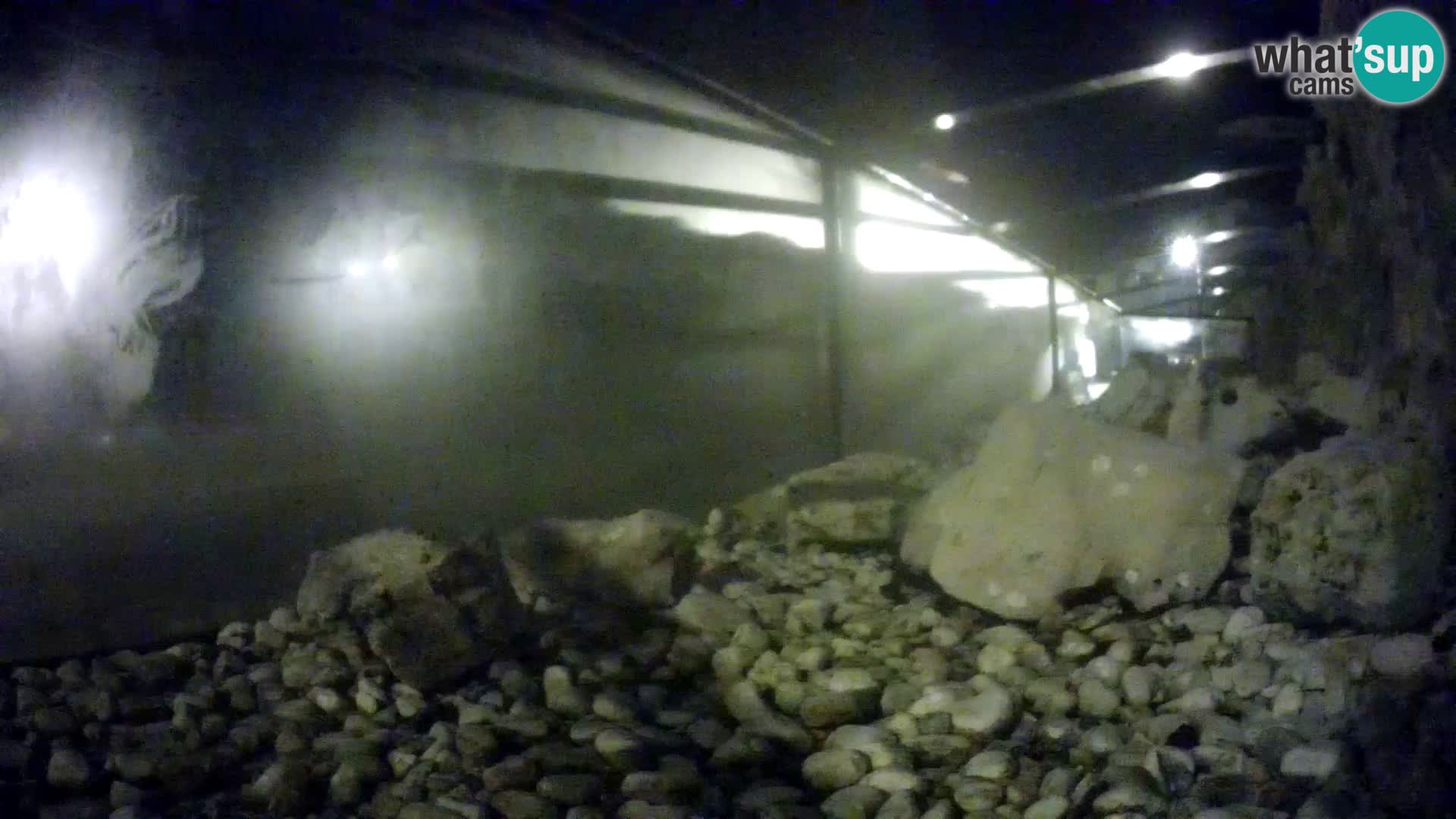 Webcam de l’aquarium marin extérieur de Rogoznica Croatie