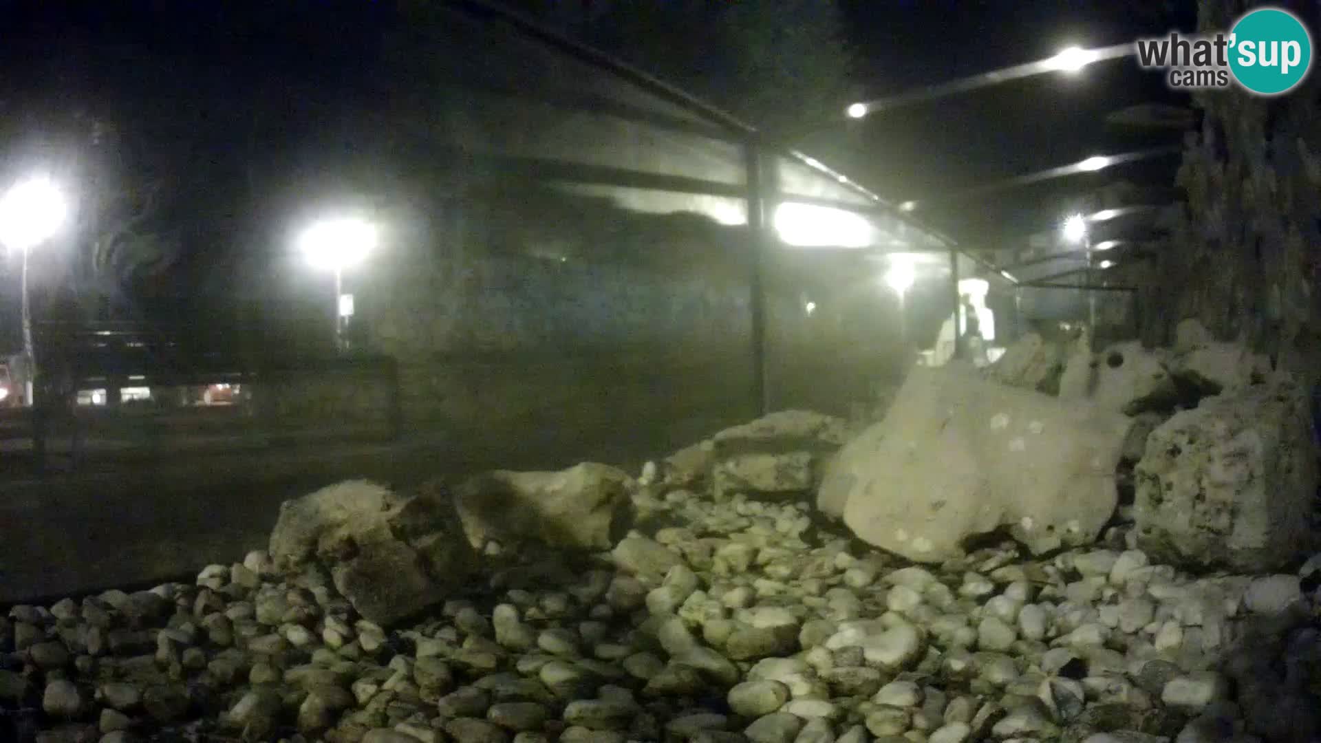 Acuario marino al aire libre Rogoznica webcam Croacia