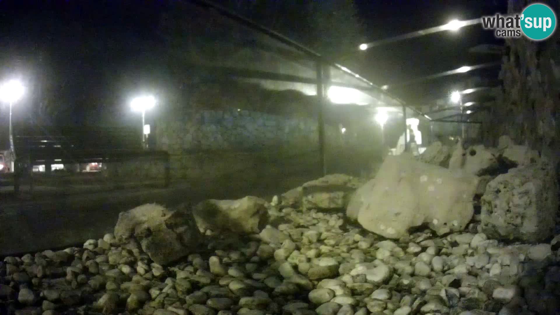 Aquario marino esterno –  Rogoznica livecam Croazia