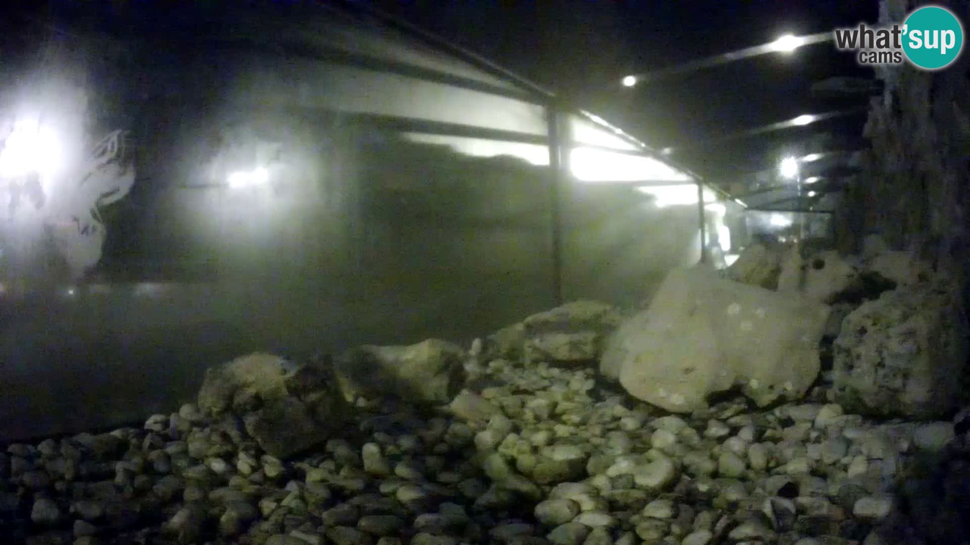 Aquario marino esterno – Rogoznica livecam Croazia