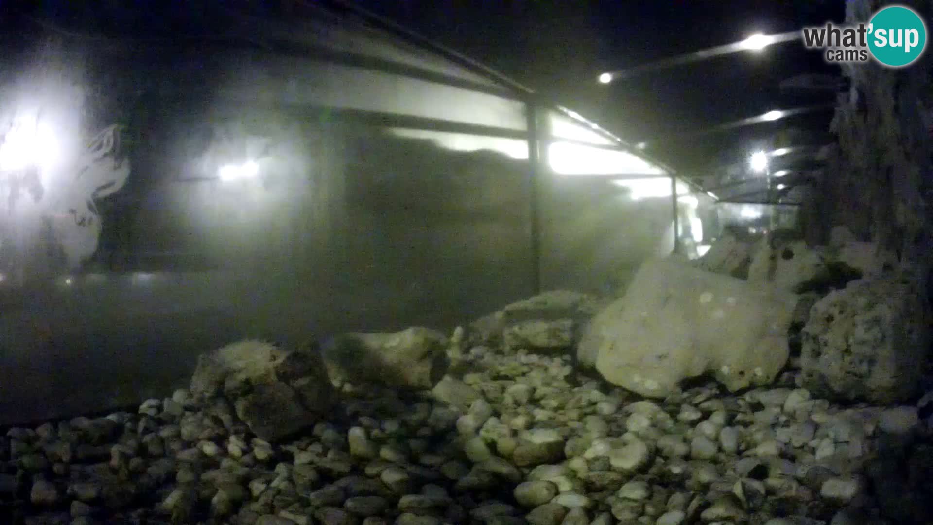 Outdoor Marine Aquarium Rogoznica webcam Croatia