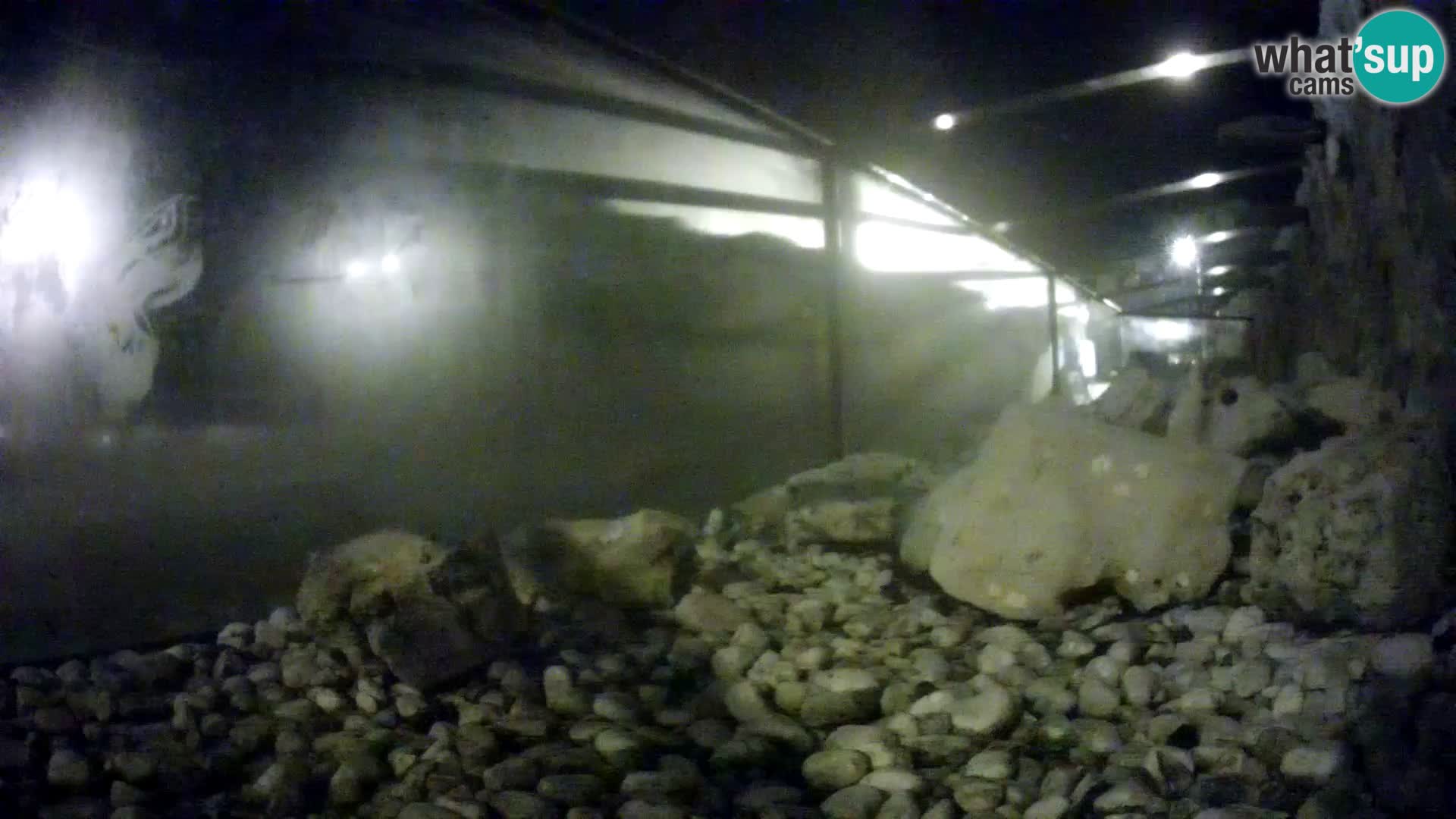 Acuario marino al aire libre Rogoznica webcam Croacia