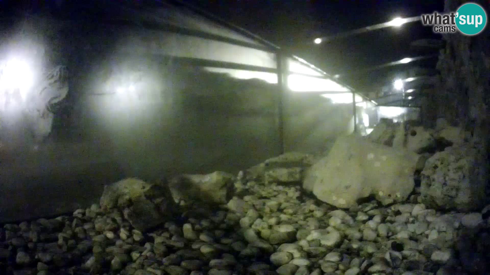 Webcam de l’aquarium marin extérieur de Rogoznica Croatie