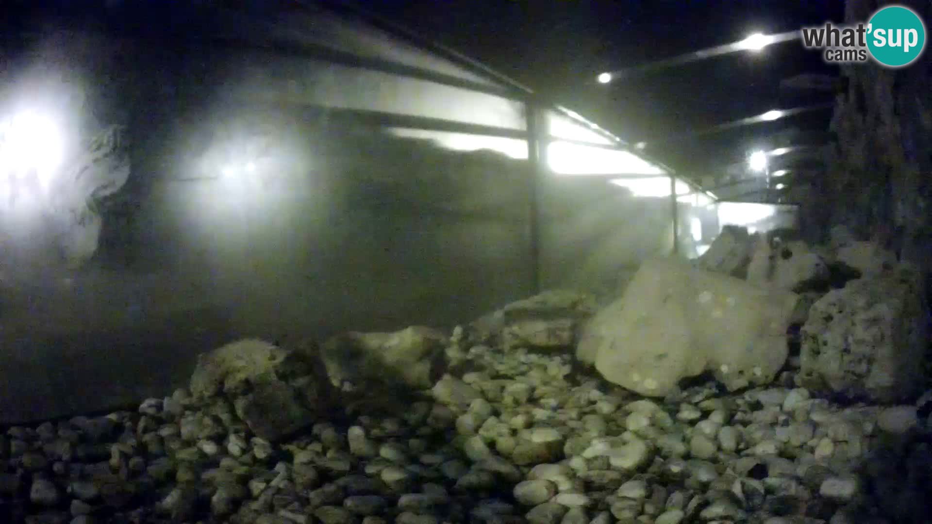 Aquario marino esterno –  Rogoznica livecam Croazia