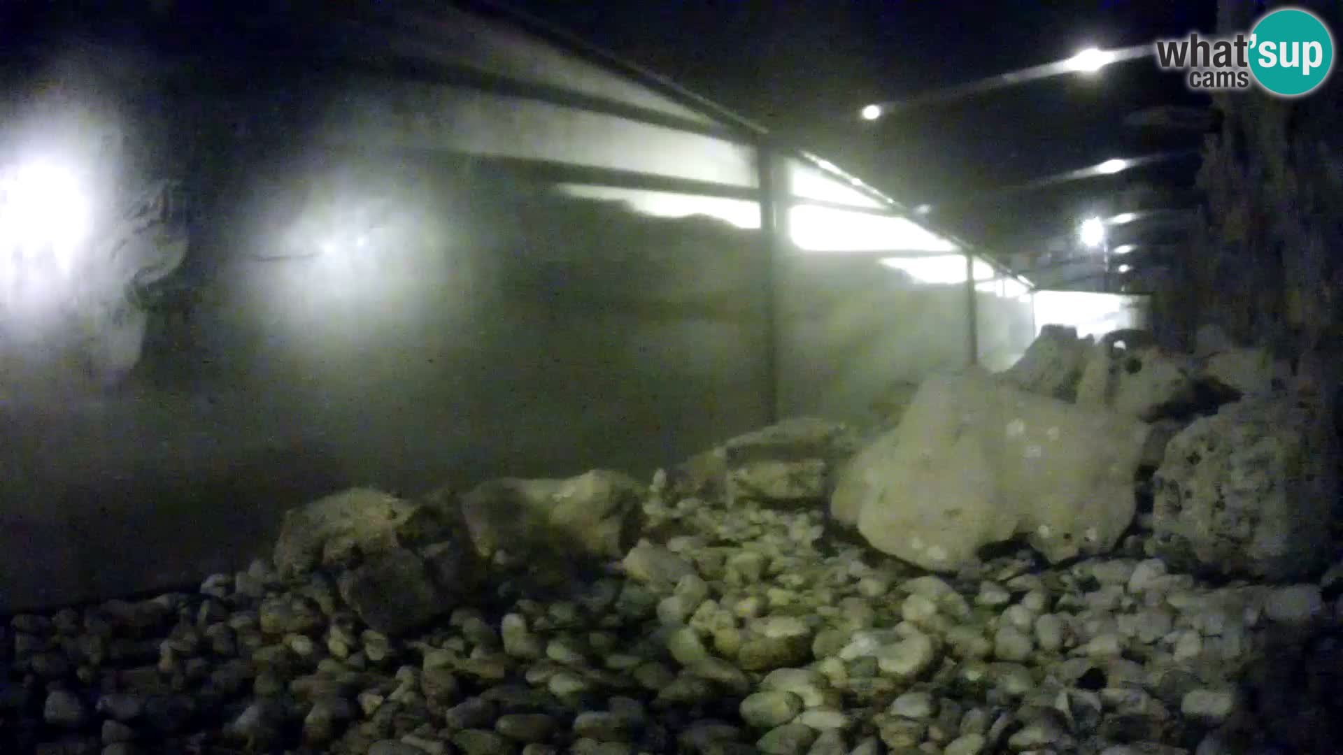 Acuario marino al aire libre Rogoznica webcam Croacia