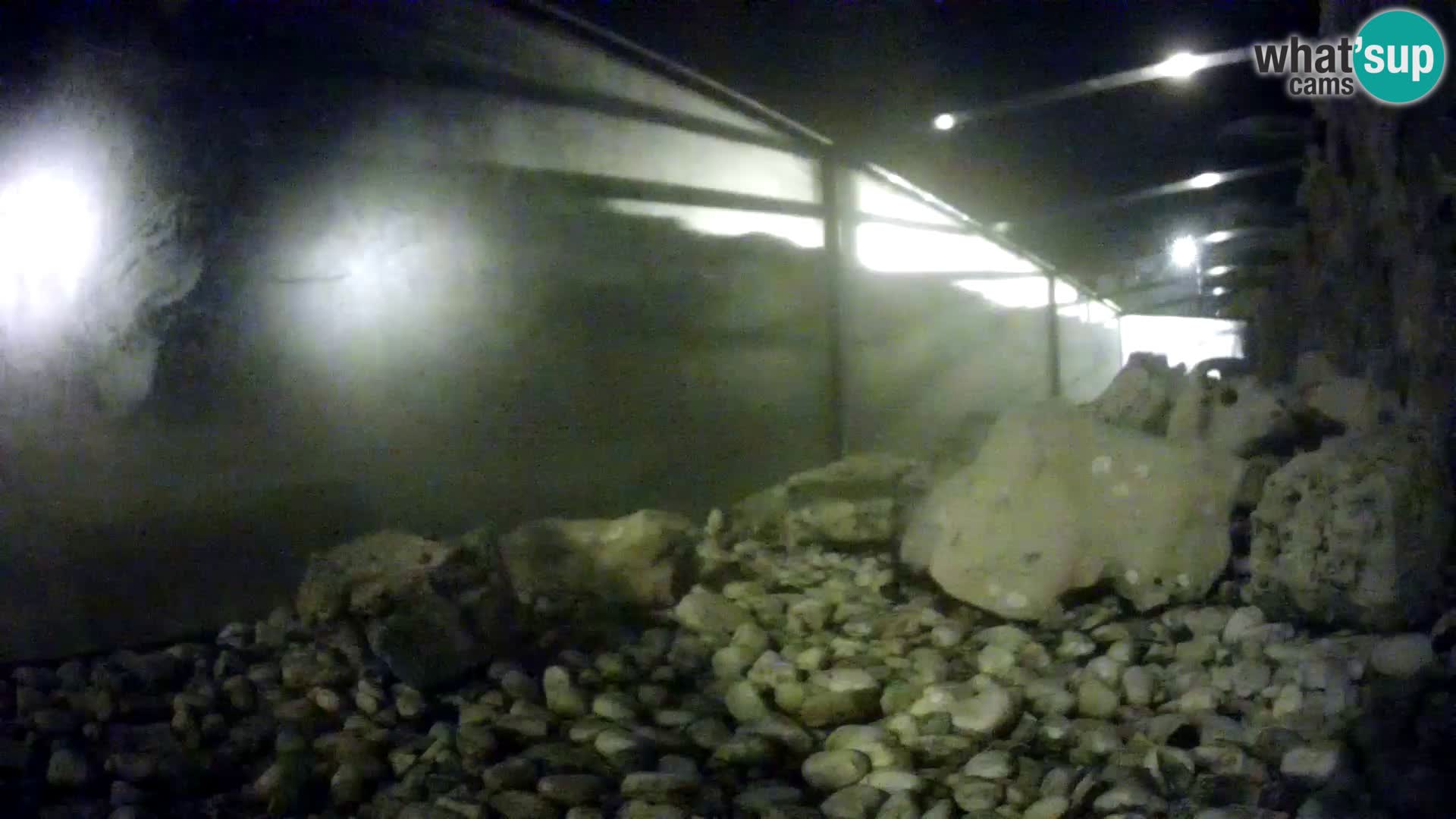 Aquario marino esterno –  Rogoznica livecam Croazia