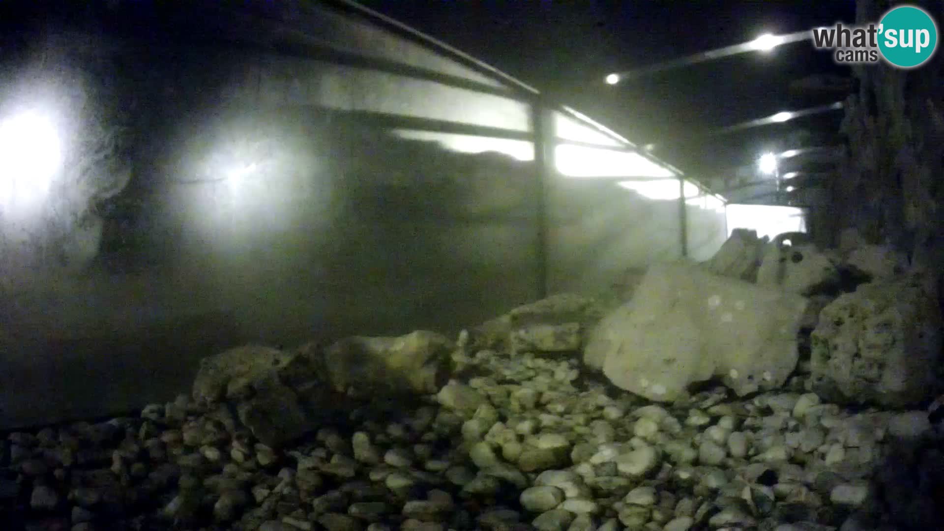 Aquario marino esterno –  Rogoznica livecam Croazia