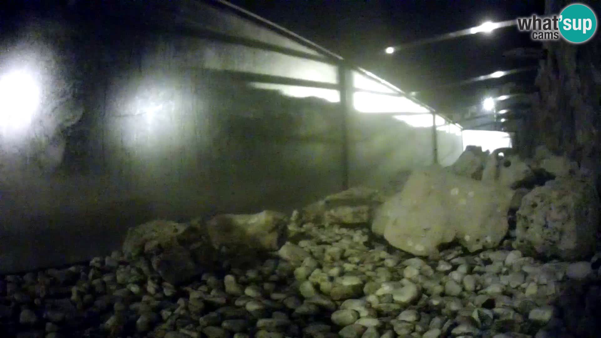 Acuario marino al aire libre Rogoznica webcam Croacia