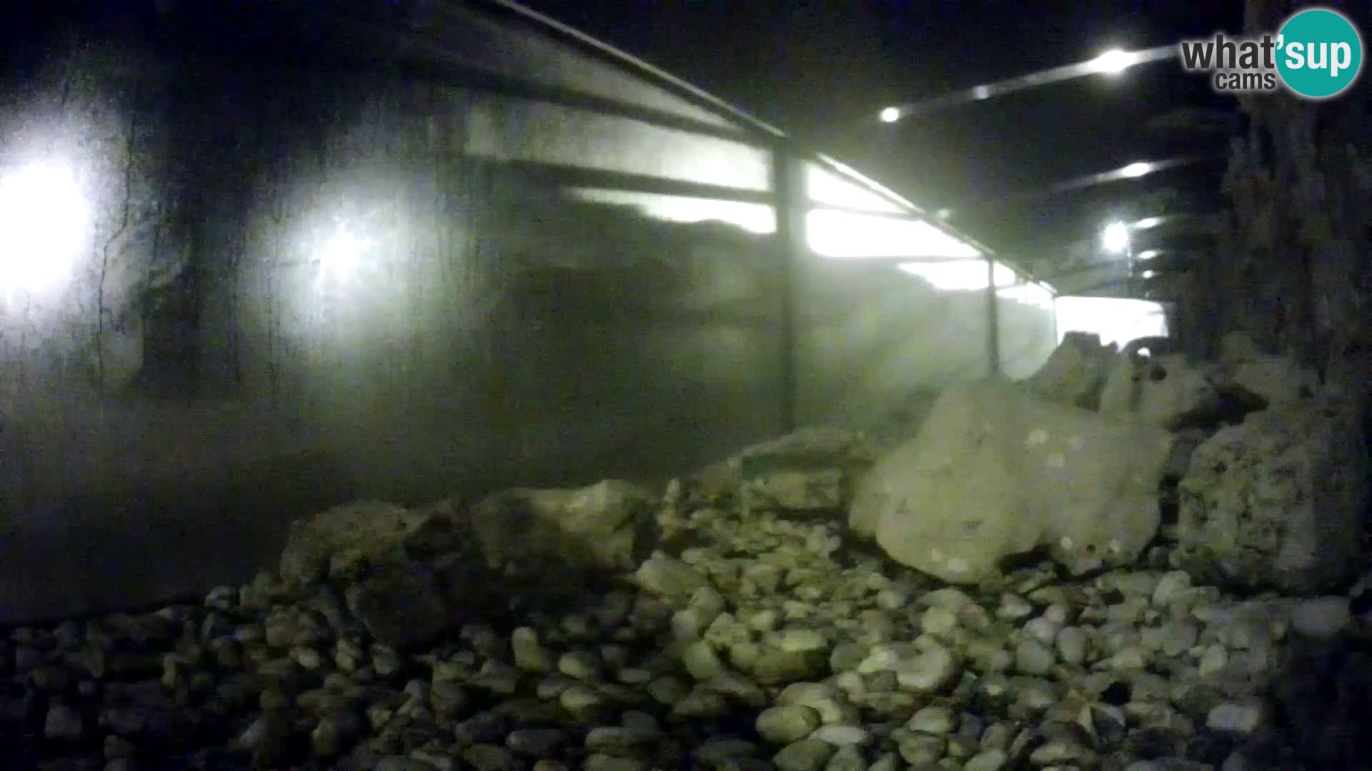 Marine Aquarium im Freien Rogoznica webcam Kroatien