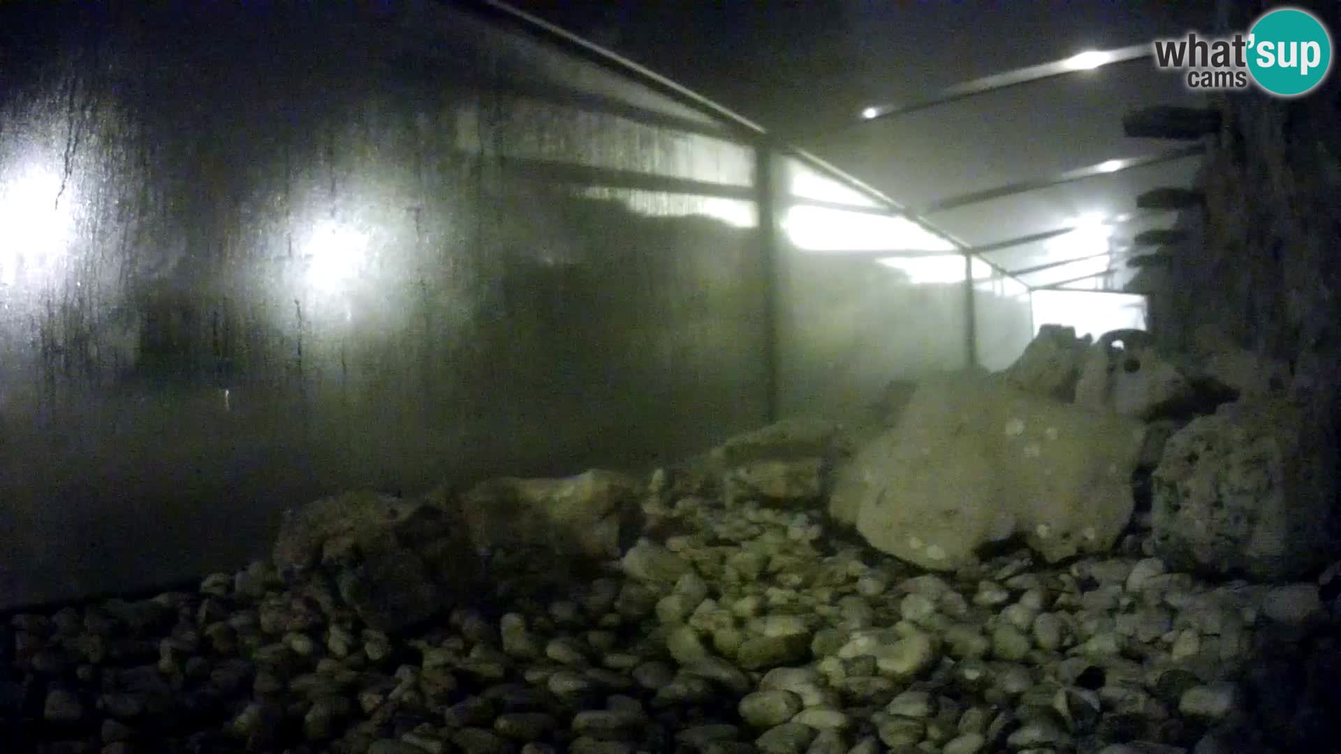 Outdoor Marine Aquarium Rogoznica webcam Croatia