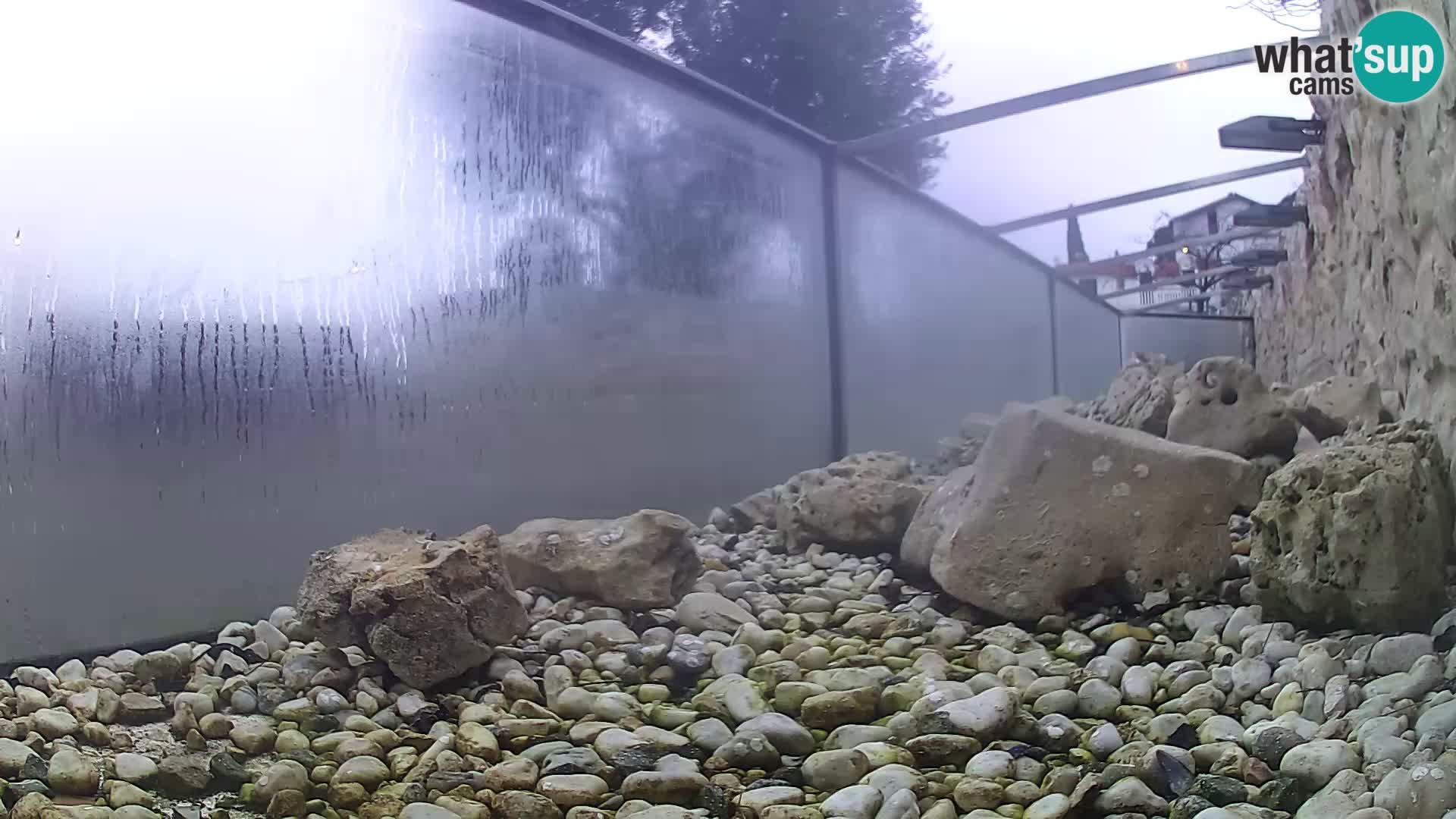 Acuario marino al aire libre Rogoznica webcam Croacia