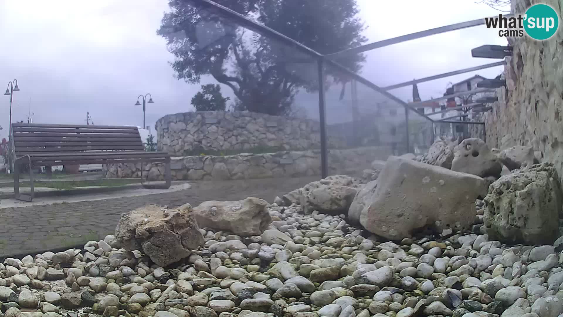 Zunanji morski akvarij Rogoznica spletna kamera Hrvaška