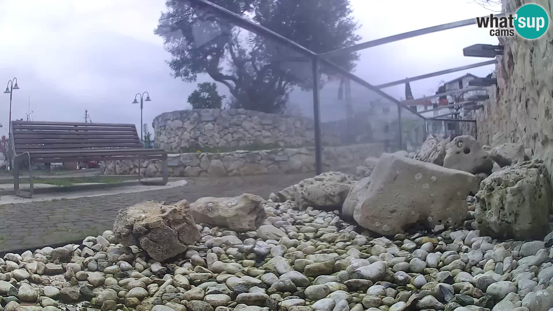 Acuario marino al aire libre Rogoznica webcam Croacia