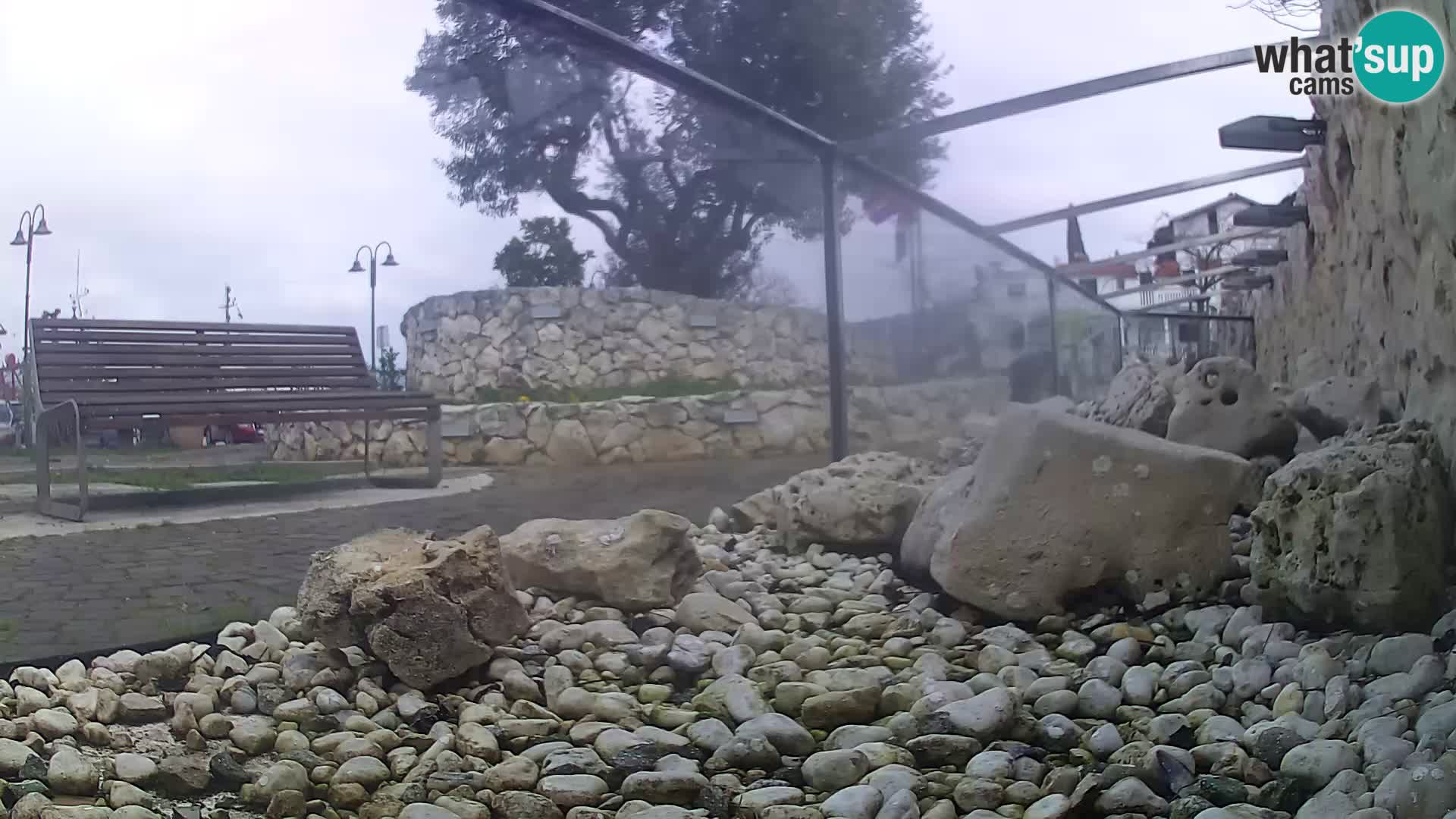 Zunanji morski akvarij Rogoznica spletna kamera Hrvaška