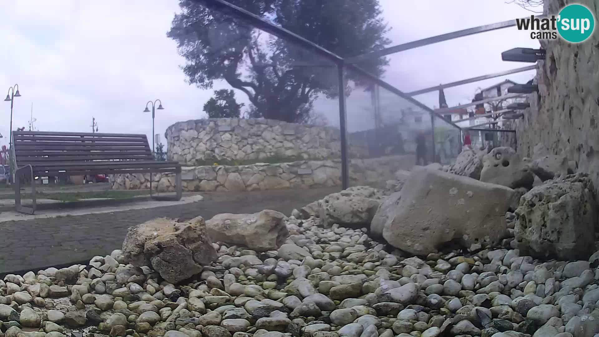 Aquario marino esterno –  Rogoznica livecam Croazia