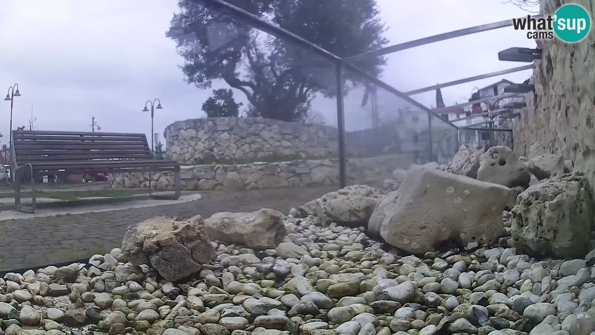 Acuario marino al aire libre Rogoznica webcam Croacia