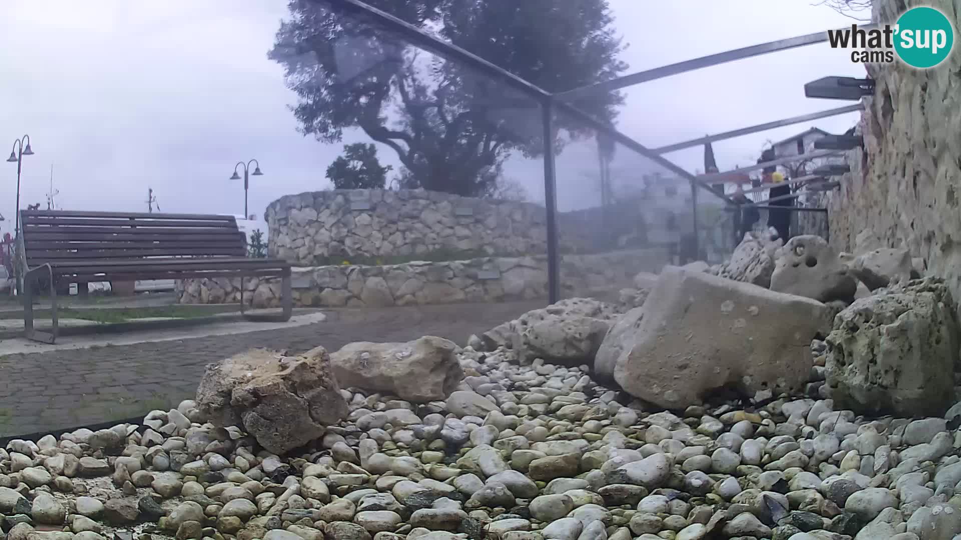 Webcam de l&rsquo;aquarium marin extérieur de Rogoznica Croatie