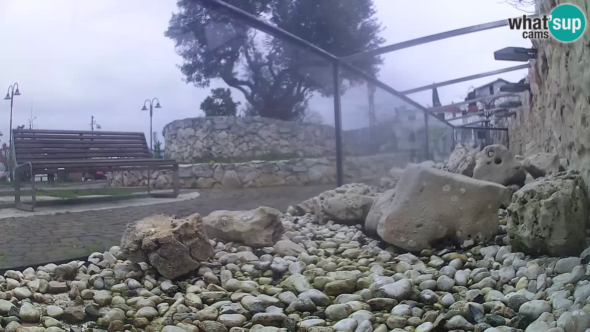 Vanjski morski akvarij Rogoznica web kamera Hrvatska