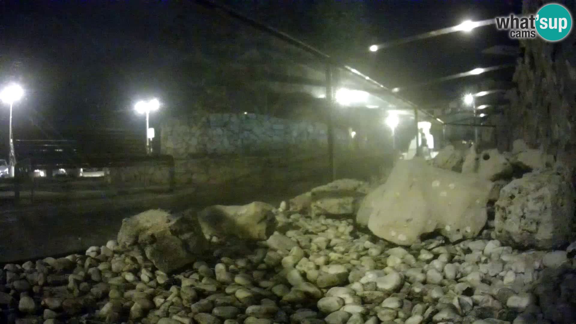 Zunanji morski akvarij Rogoznica spletna kamera Hrvaška