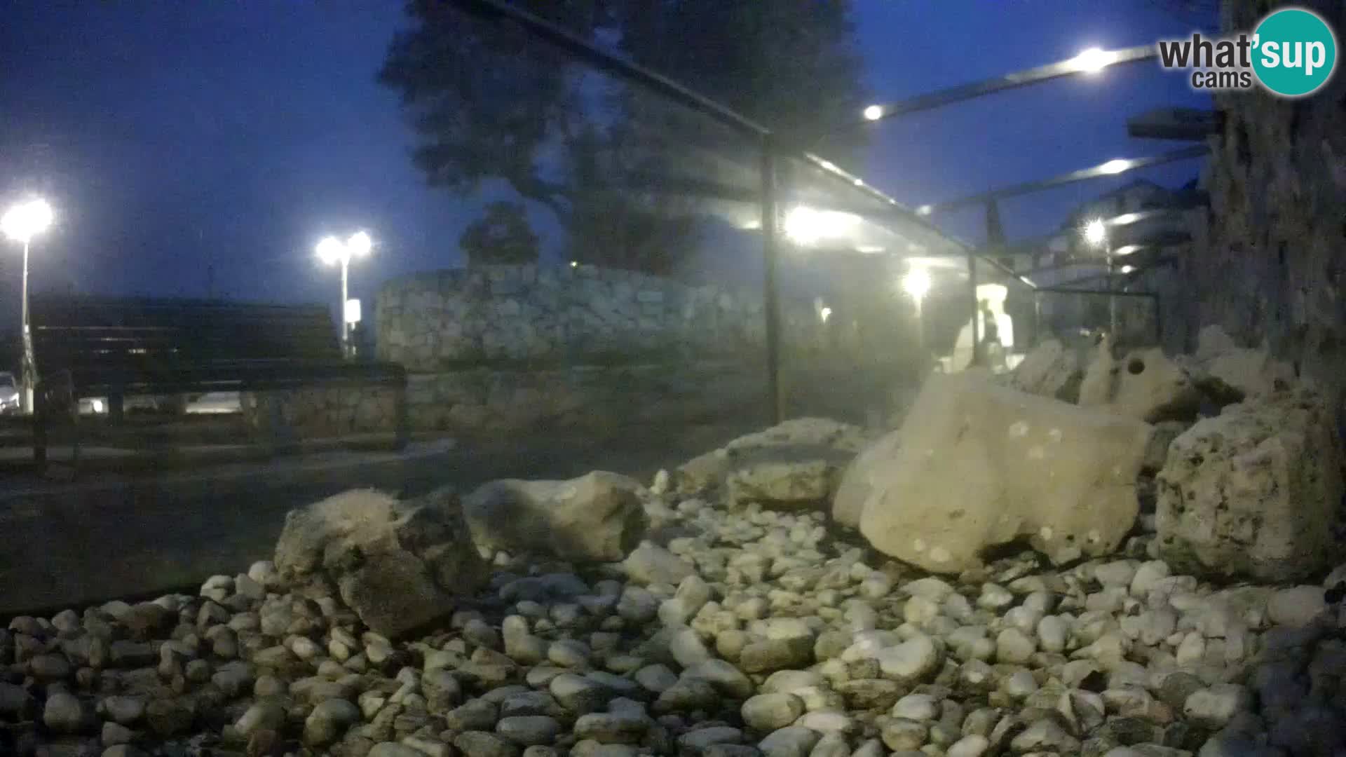 Aquario marino esterno –  Rogoznica livecam Croazia