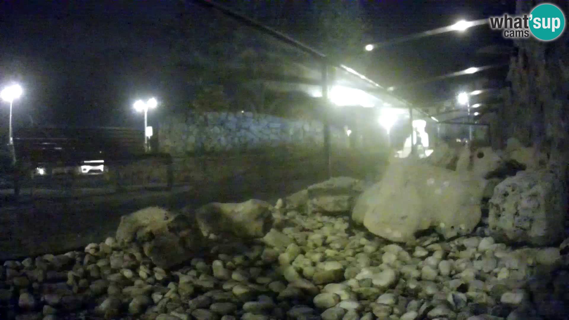 Aquario marino esterno –  Rogoznica livecam Croazia