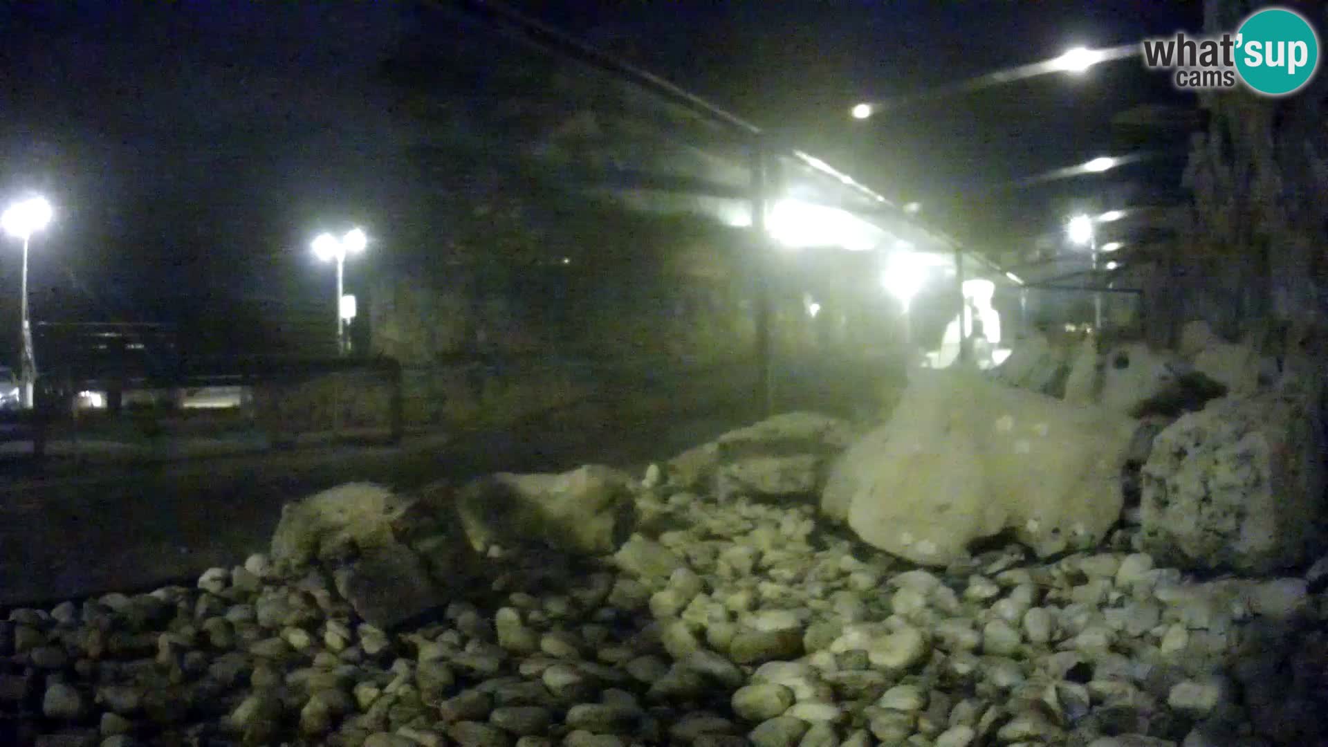 Webcam de l’aquarium marin extérieur de Rogoznica Croatie