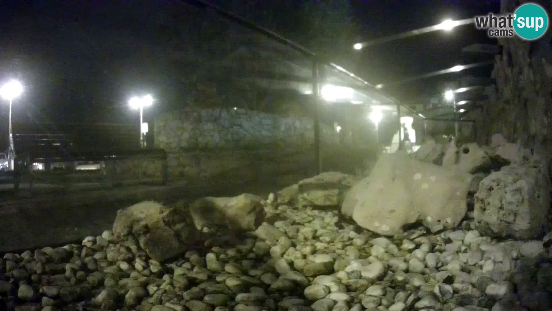 Zunanji morski akvarij Rogoznica spletna kamera Hrvaška