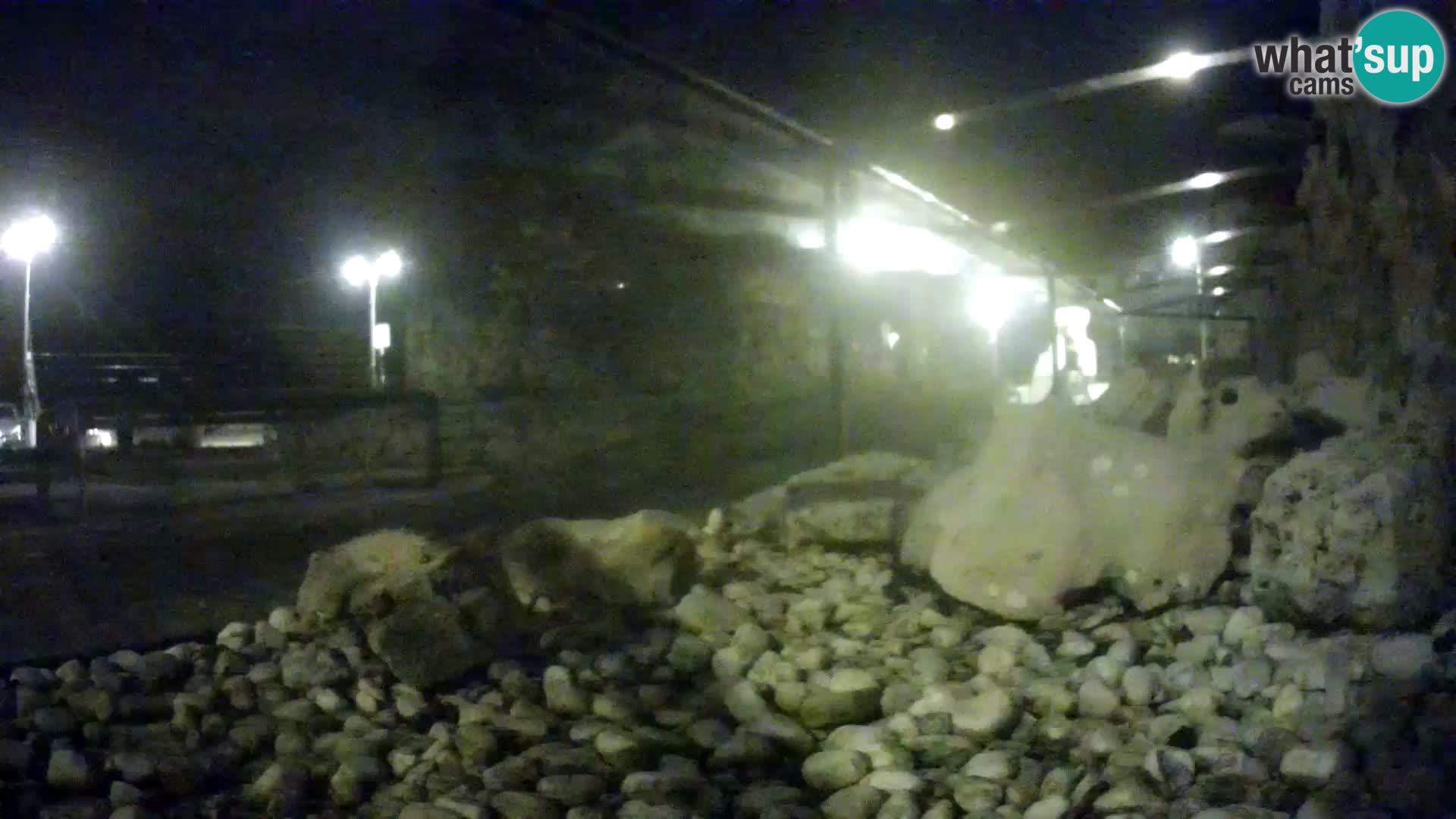 Marine Aquarium im Freien Rogoznica webcam Kroatien