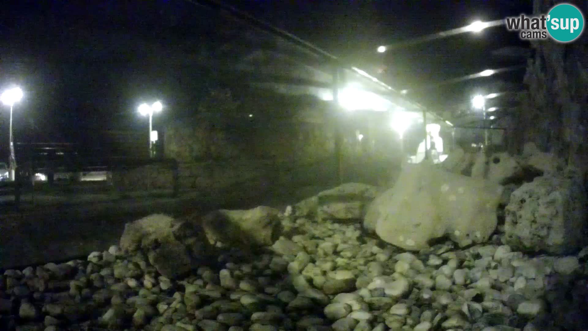 Aquario marino esterno –  Rogoznica livecam Croazia