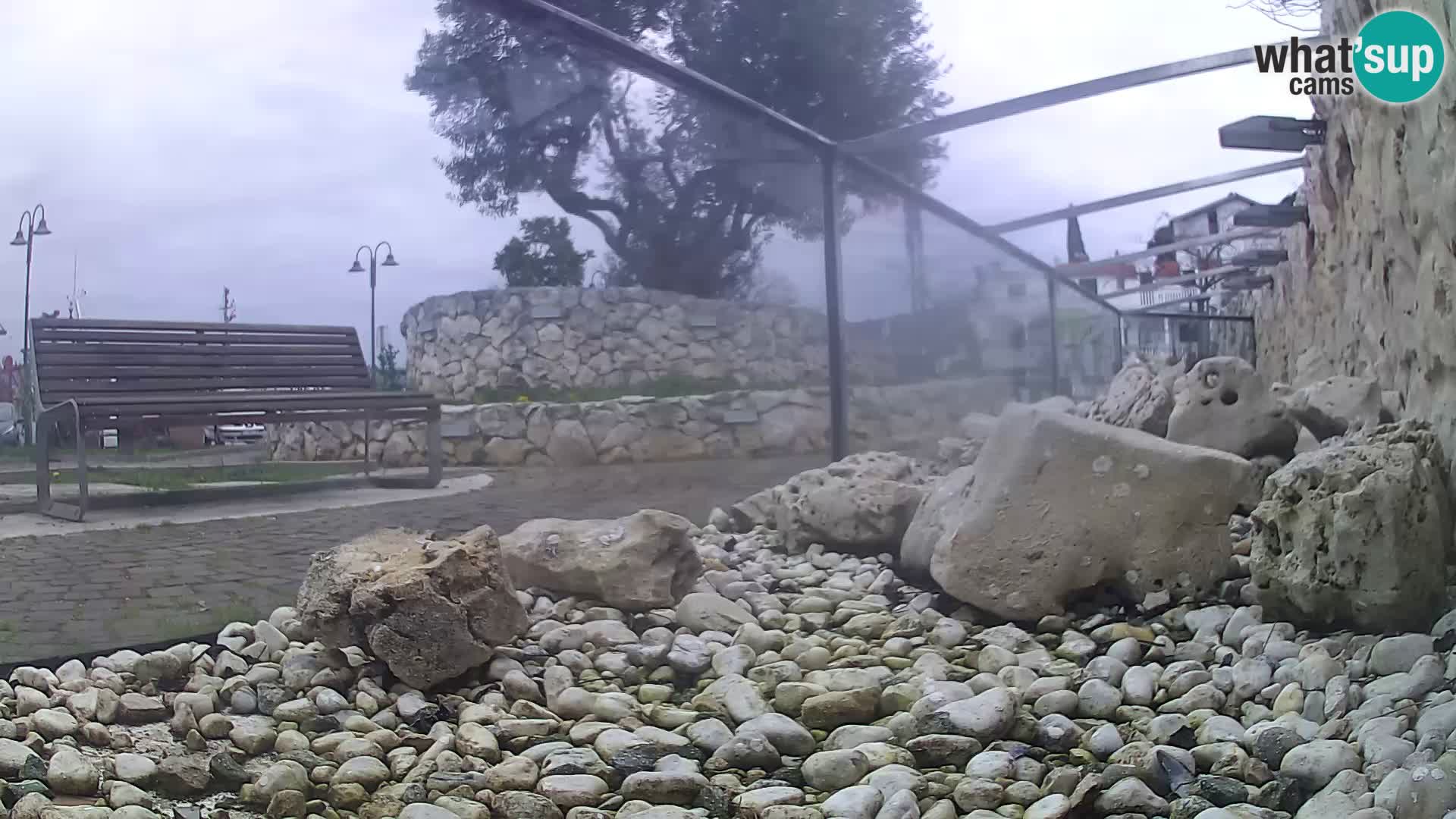 Aquario marino esterno –  Rogoznica livecam Croazia