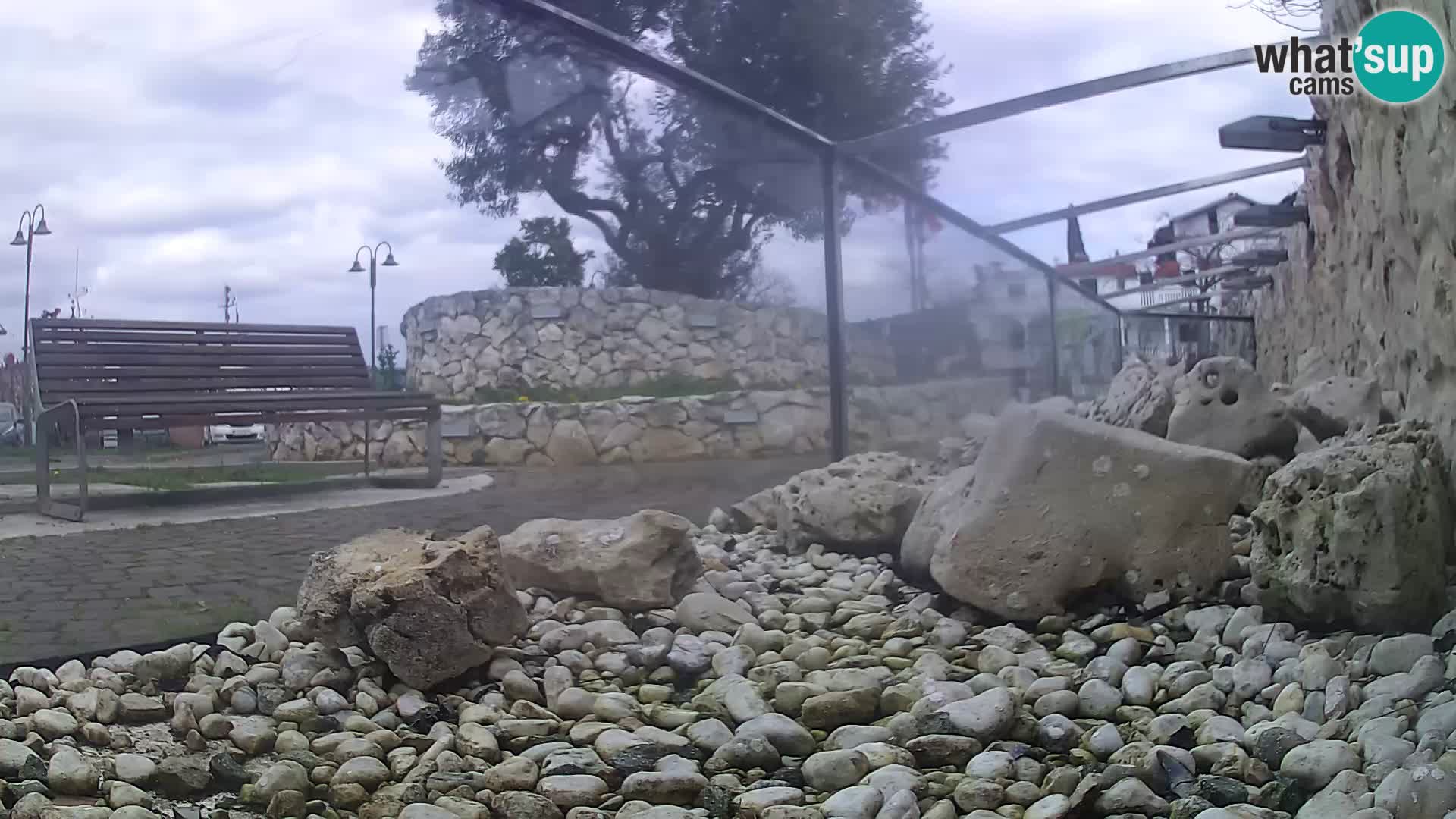 Webcam de l’aquarium marin extérieur de Rogoznica Croatie