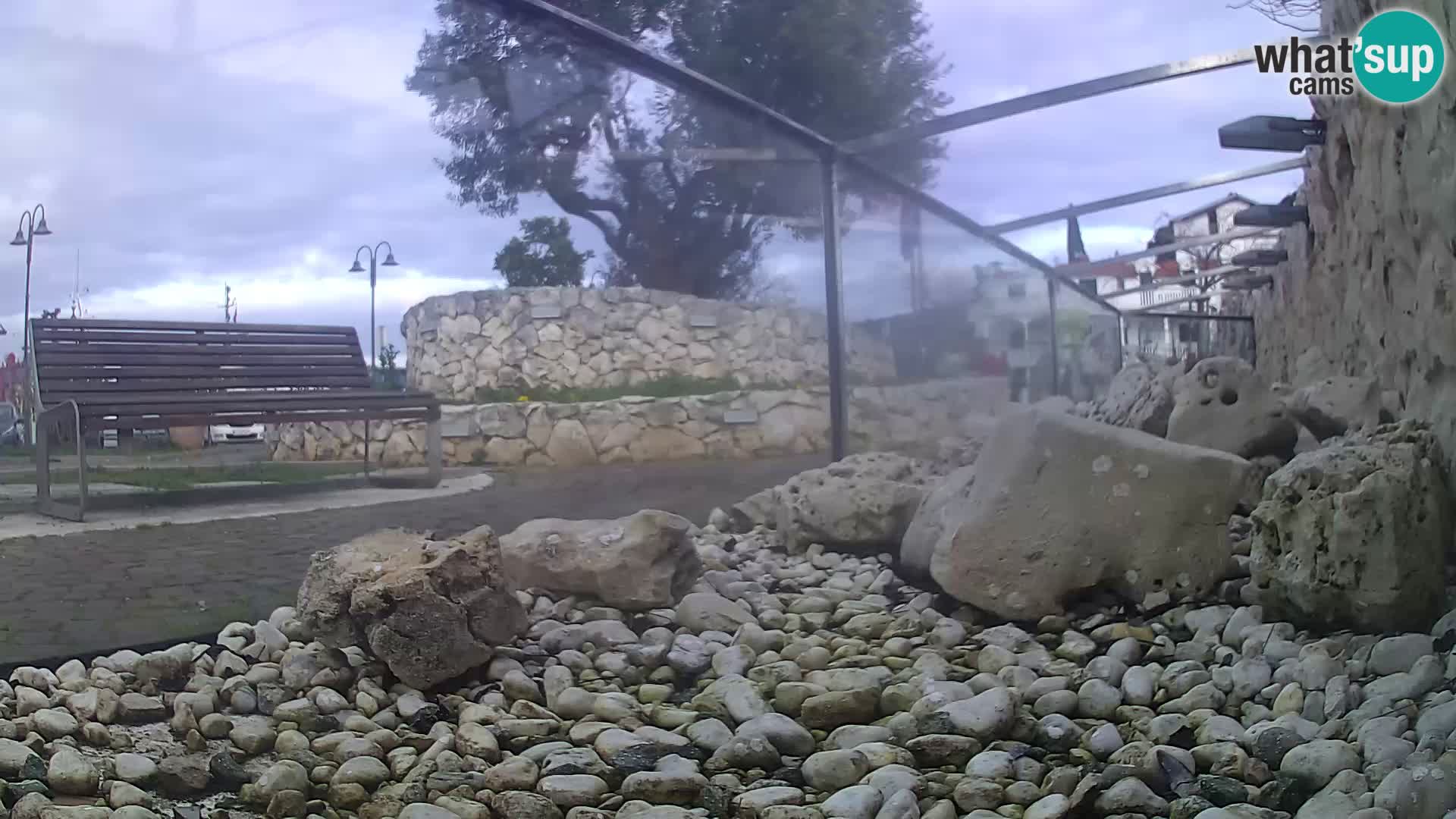 Webcam de l’aquarium marin extérieur de Rogoznica Croatie