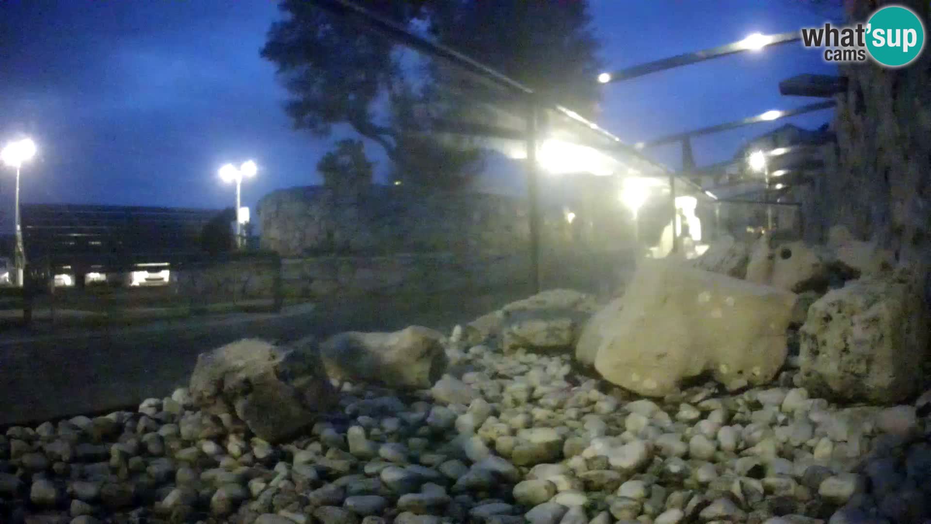 Vanjski morski akvarij Rogoznica web kamera Hrvatska