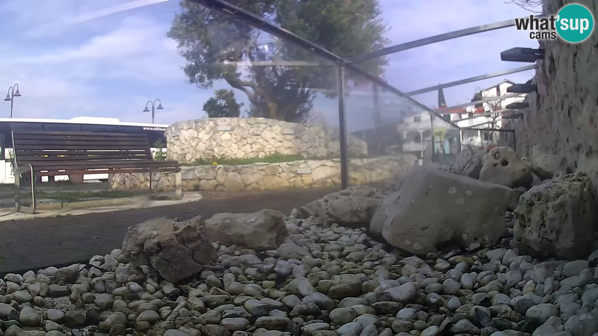 Vanjski morski akvarij Rogoznica web kamera Hrvatska