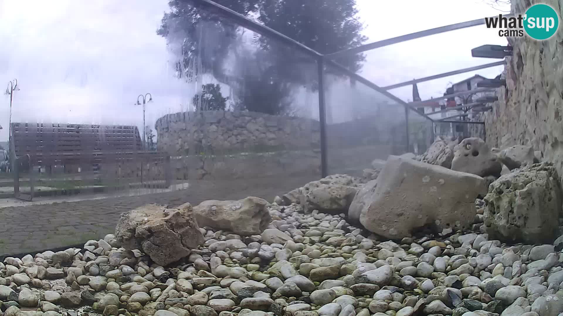 Outdoor Marine Aquarium Rogoznica webcam Croatia