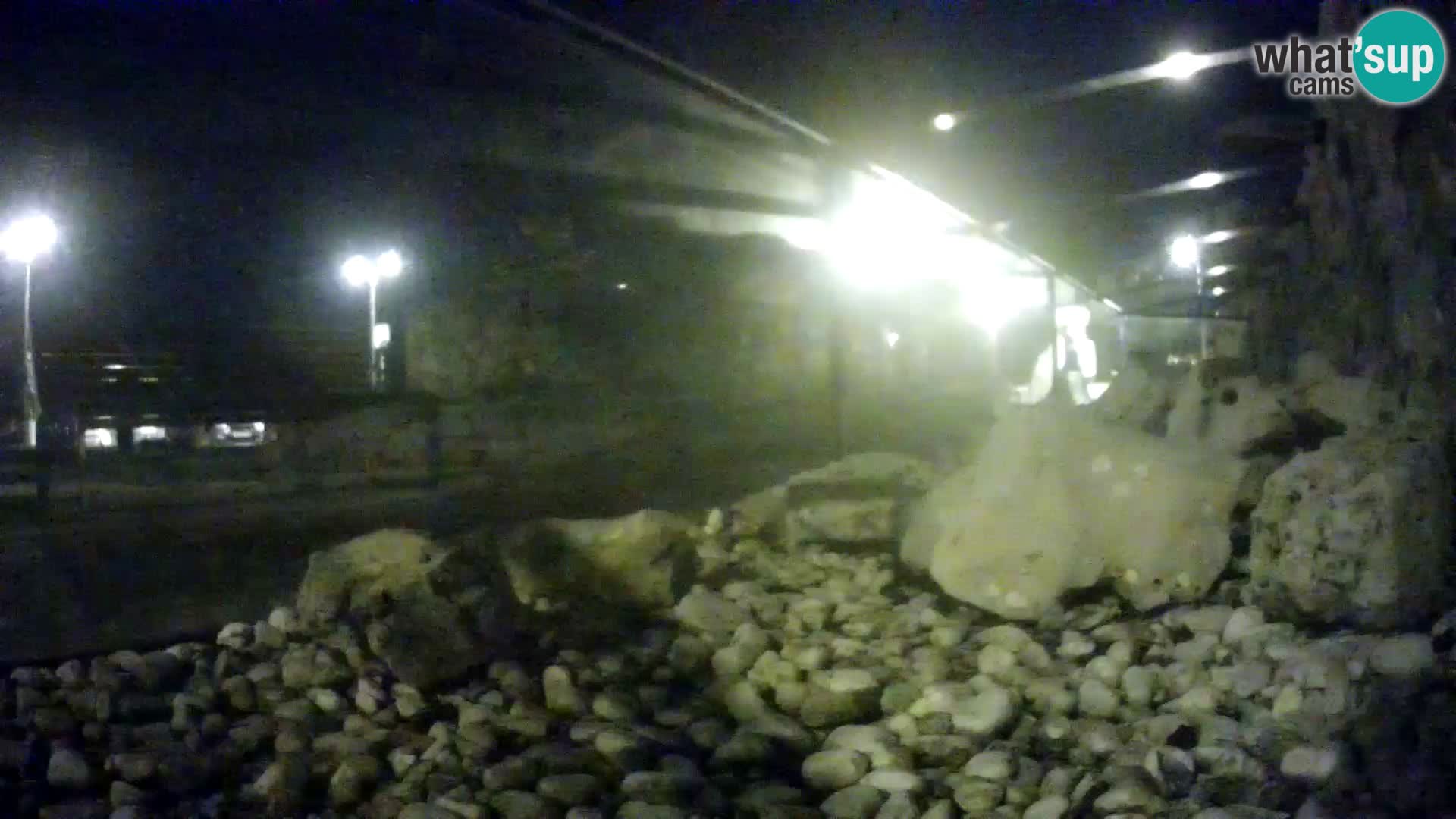 Acuario marino al aire libre Rogoznica webcam Croacia